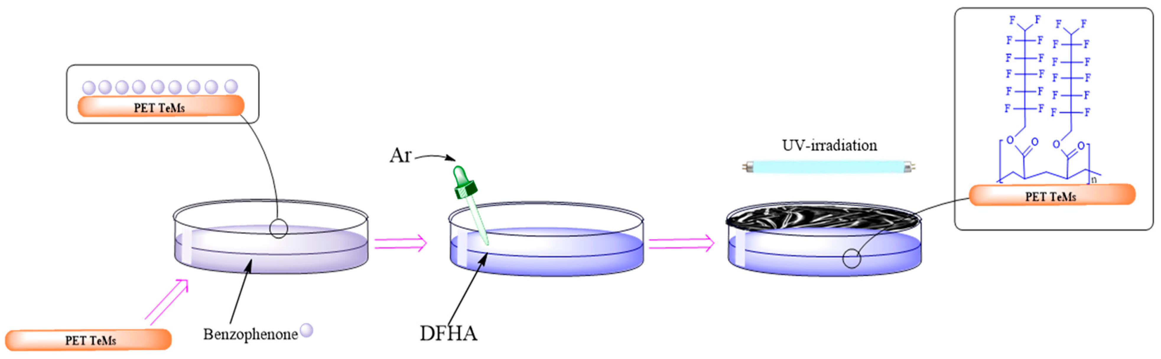Membranes 14 00145 g001