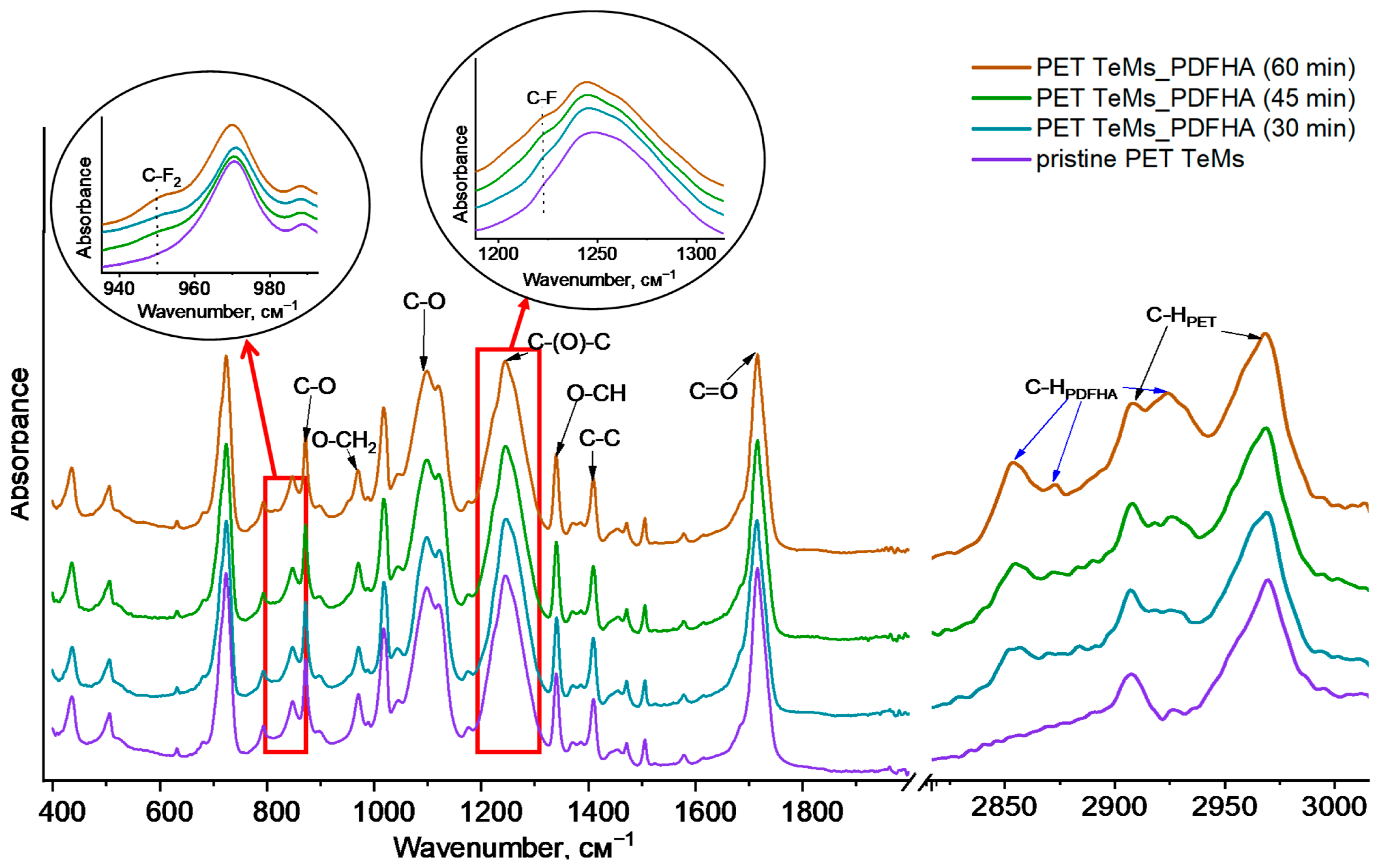 Membranes 14 00145 g002