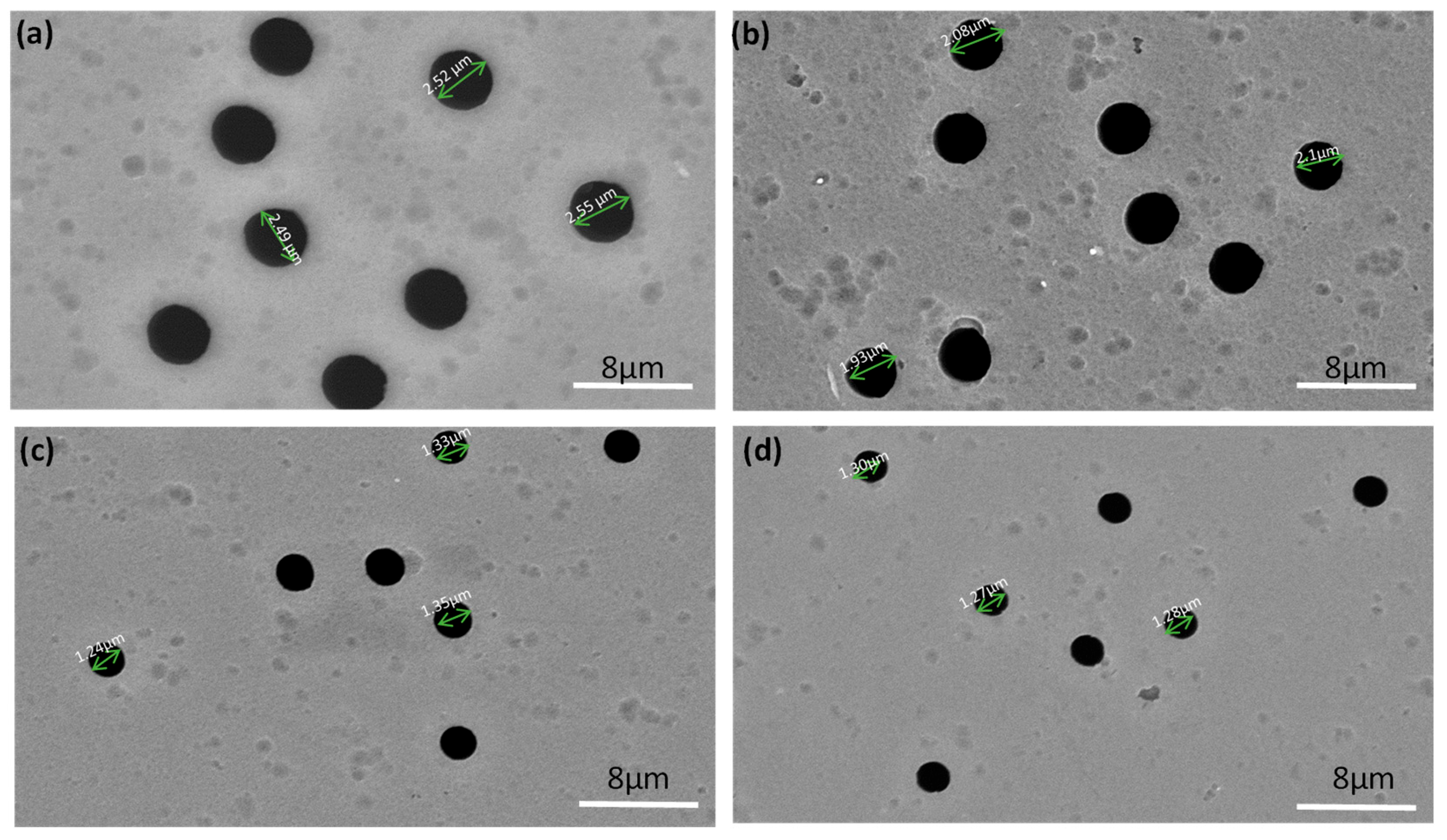 Membranes 14 00145 g004