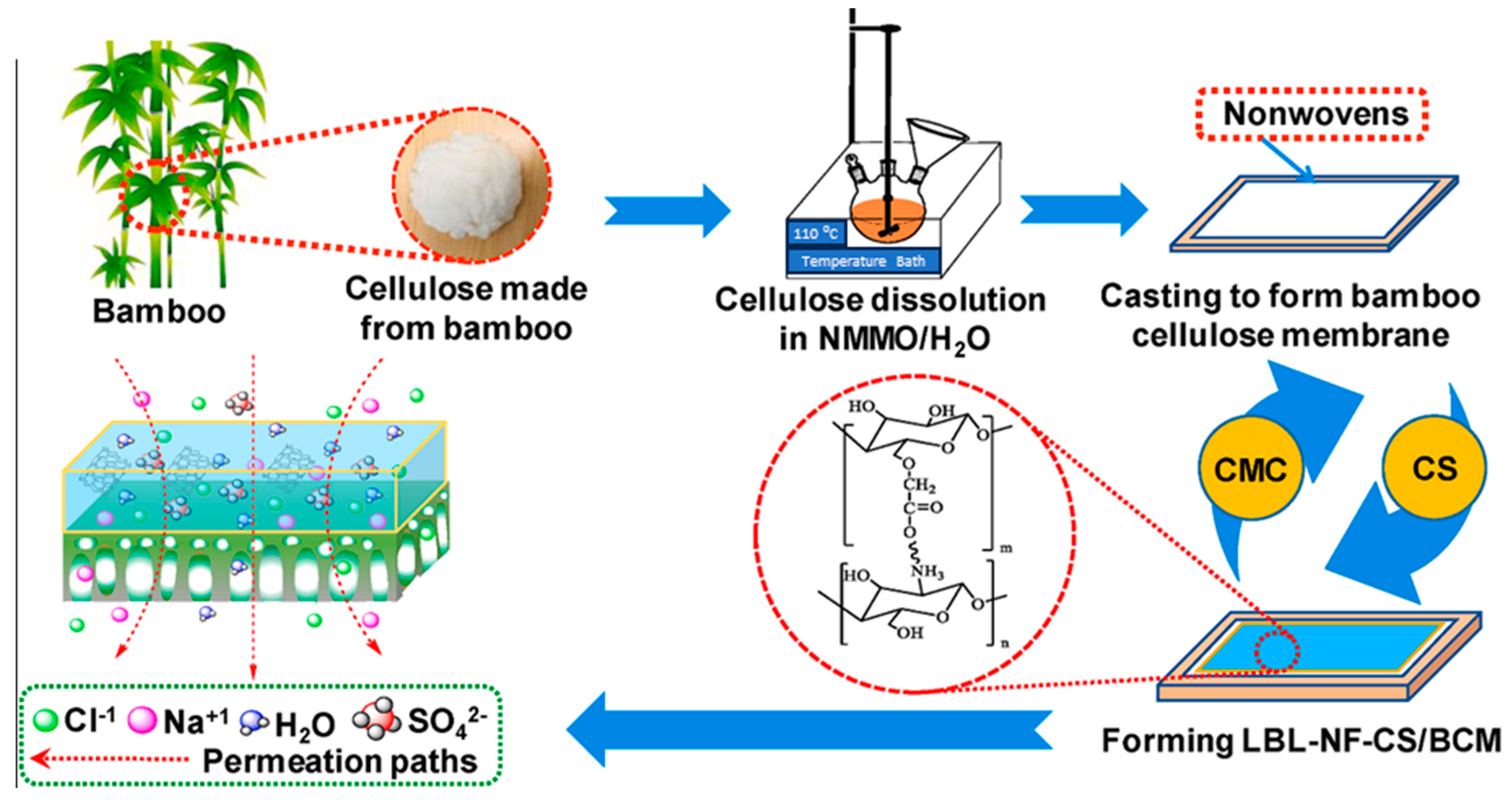 Membranes 14 00148 g002