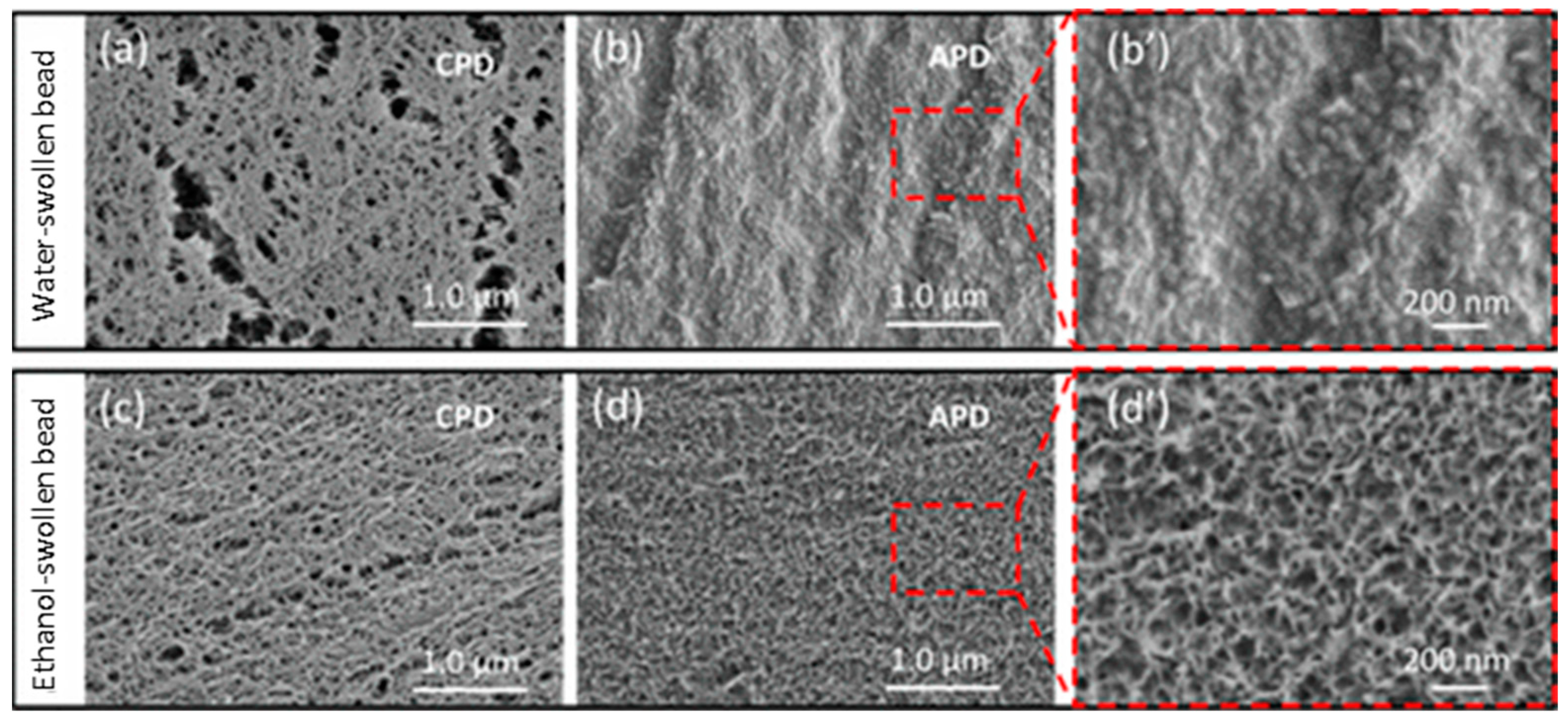 Membranes 14 00148 g005