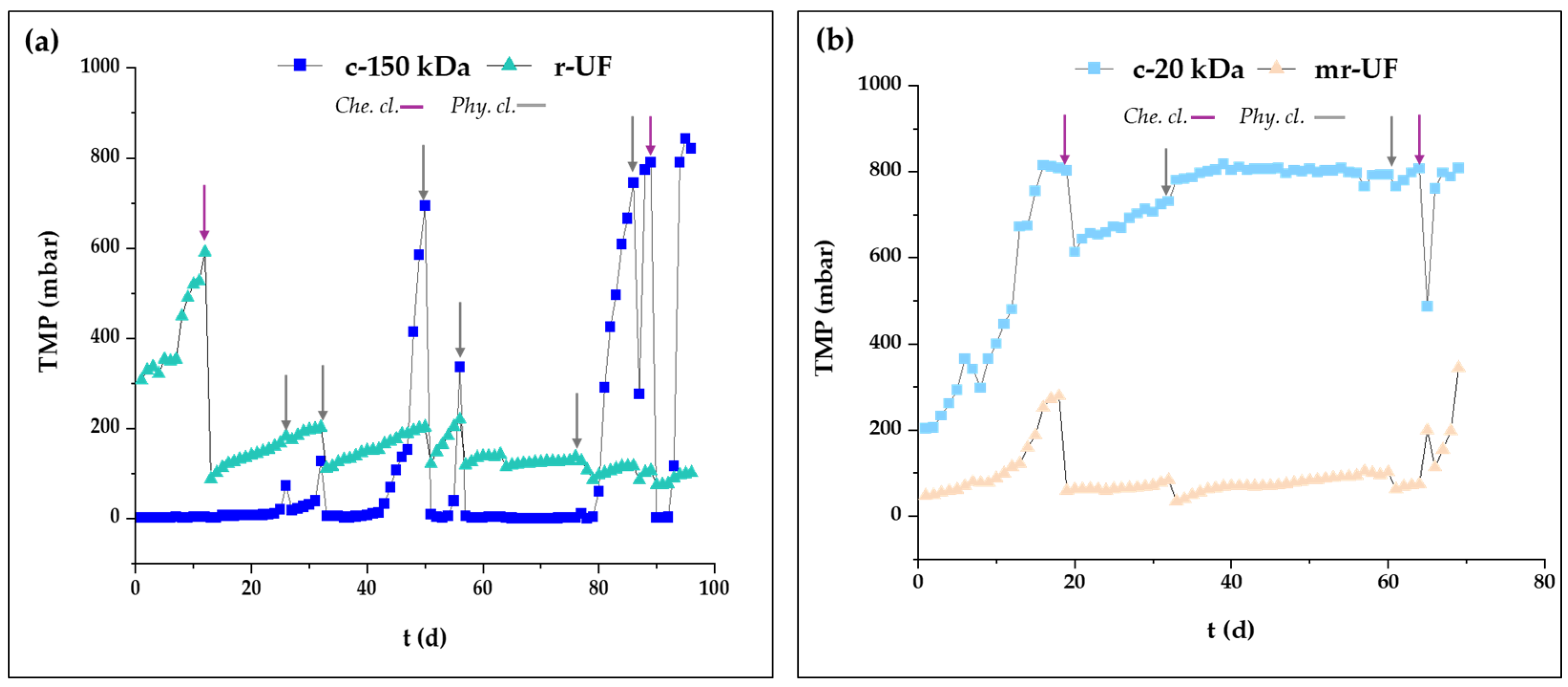 Membranes 14 00149 g003