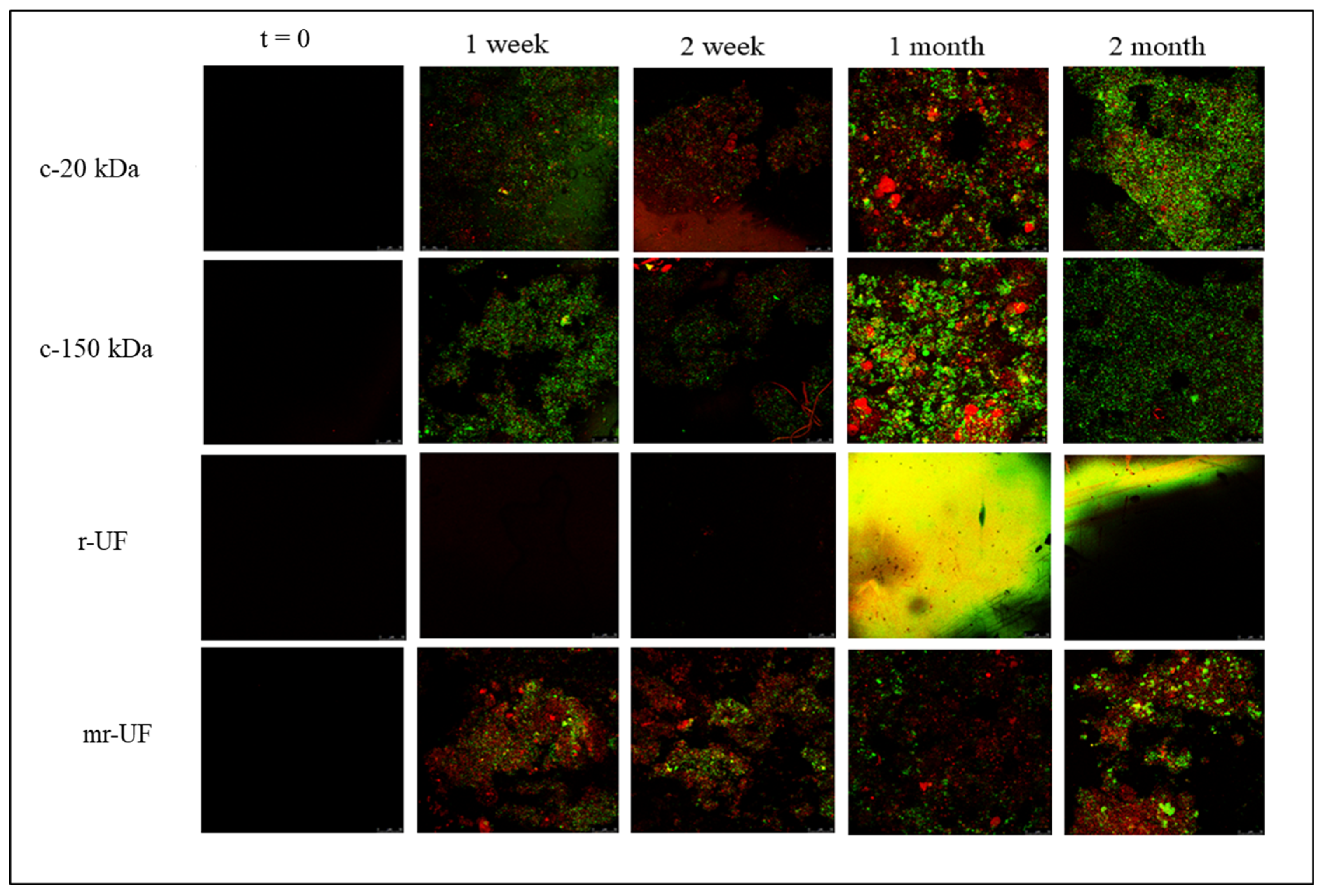 Membranes 14 00149 g007