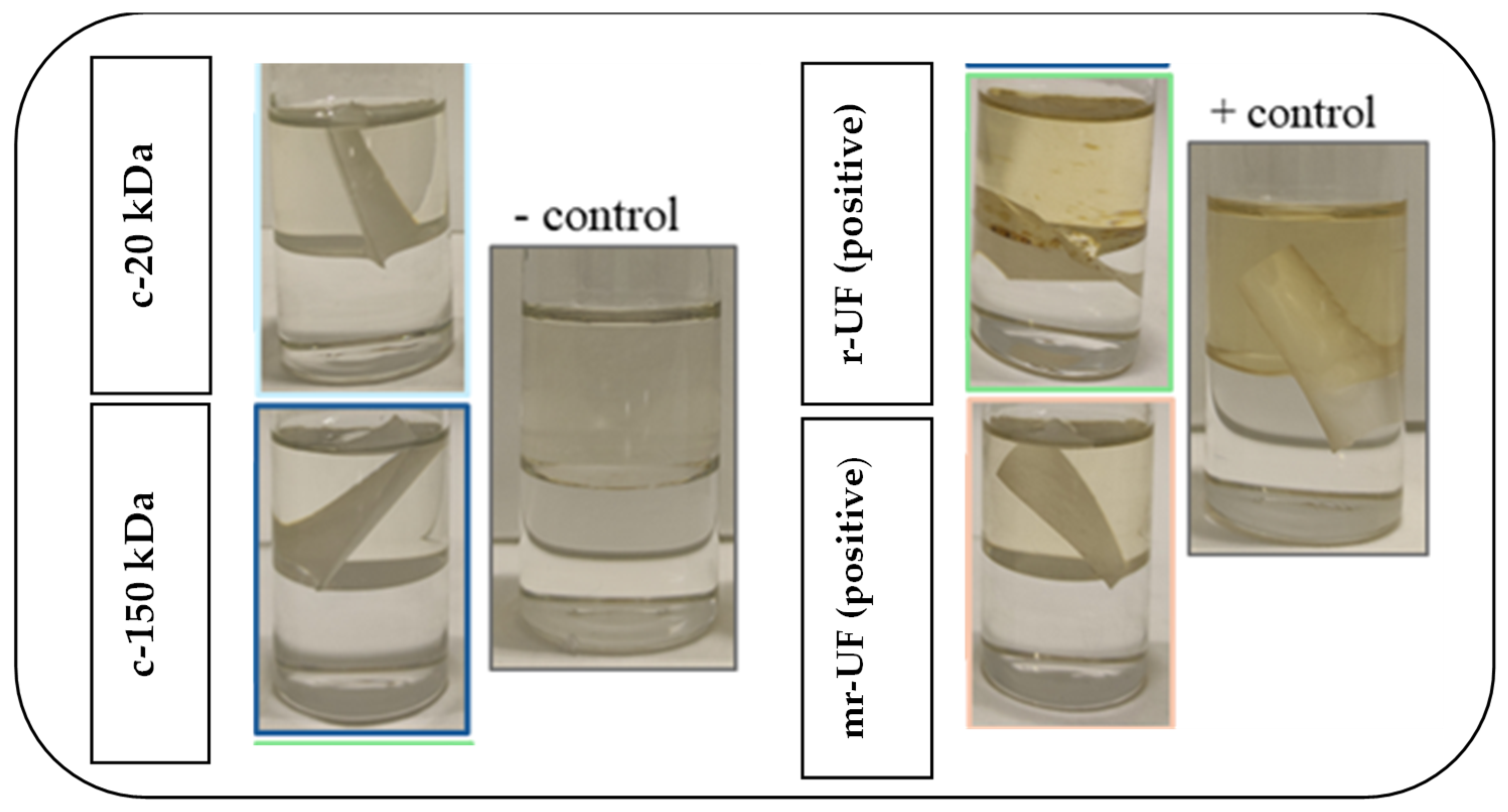 Membranes 14 00149 g008