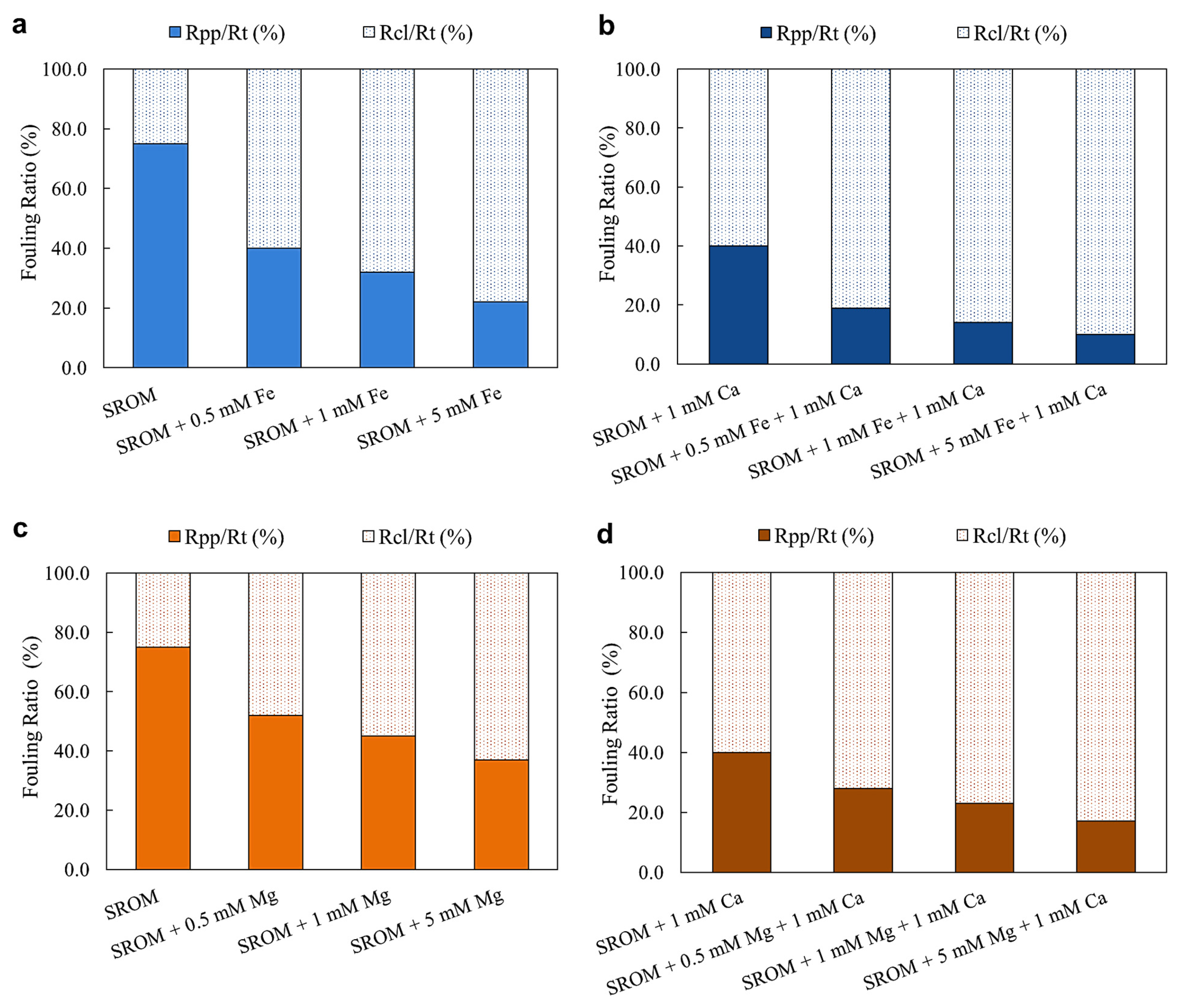 Membranes 14 00150 g004