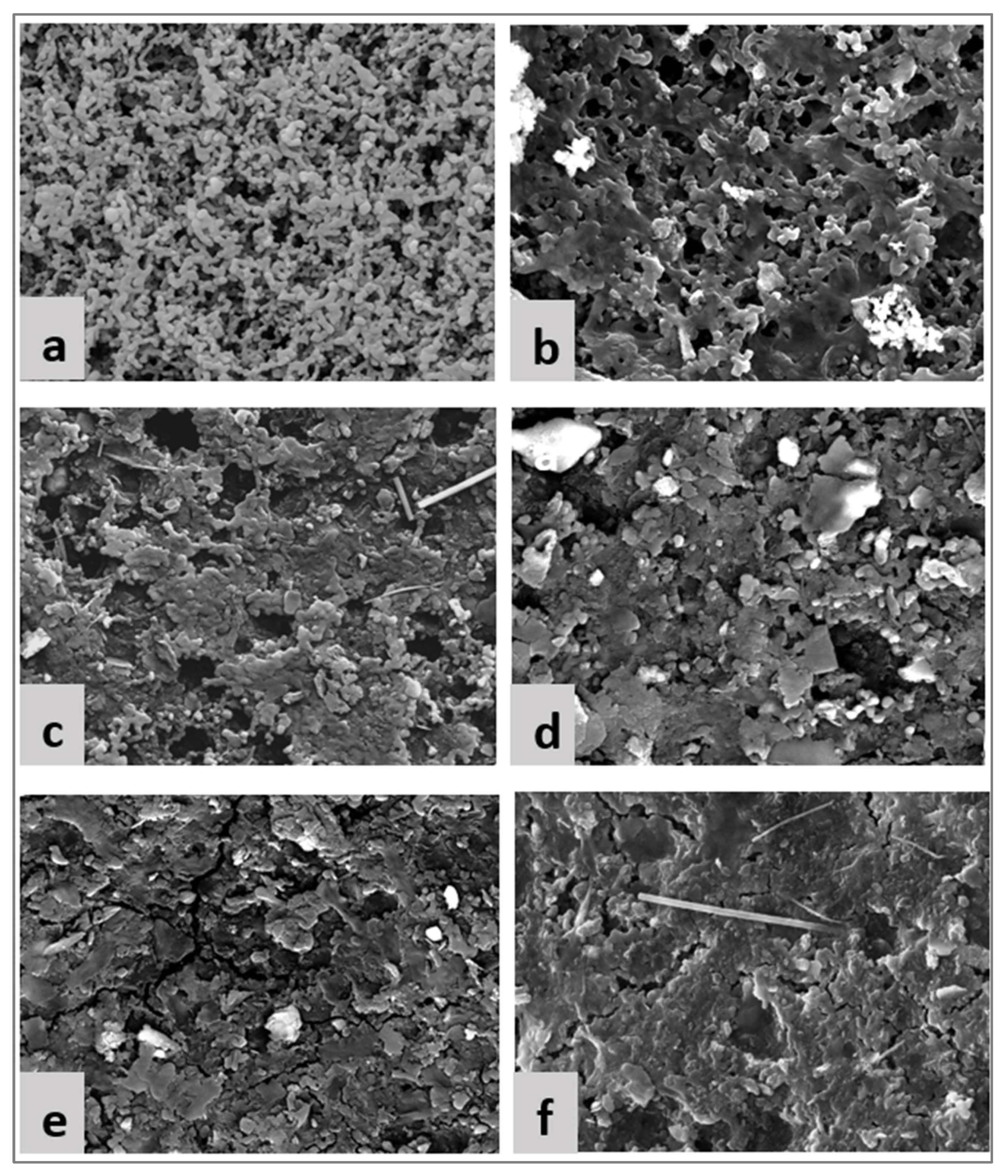 Membranes 14 00150 g005
