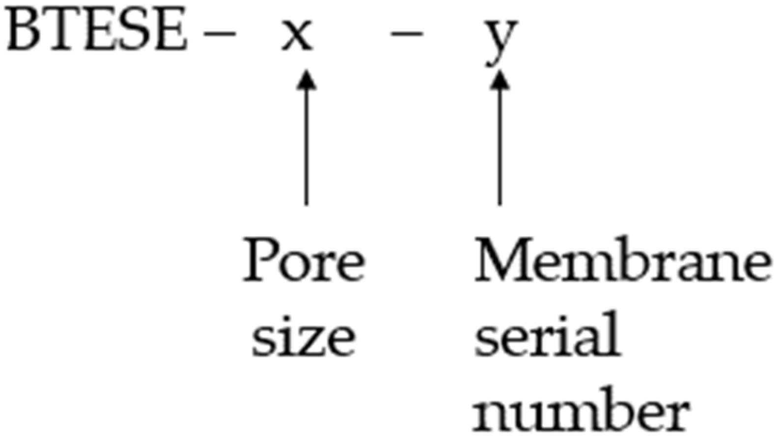 Membranes 14 00165 g001