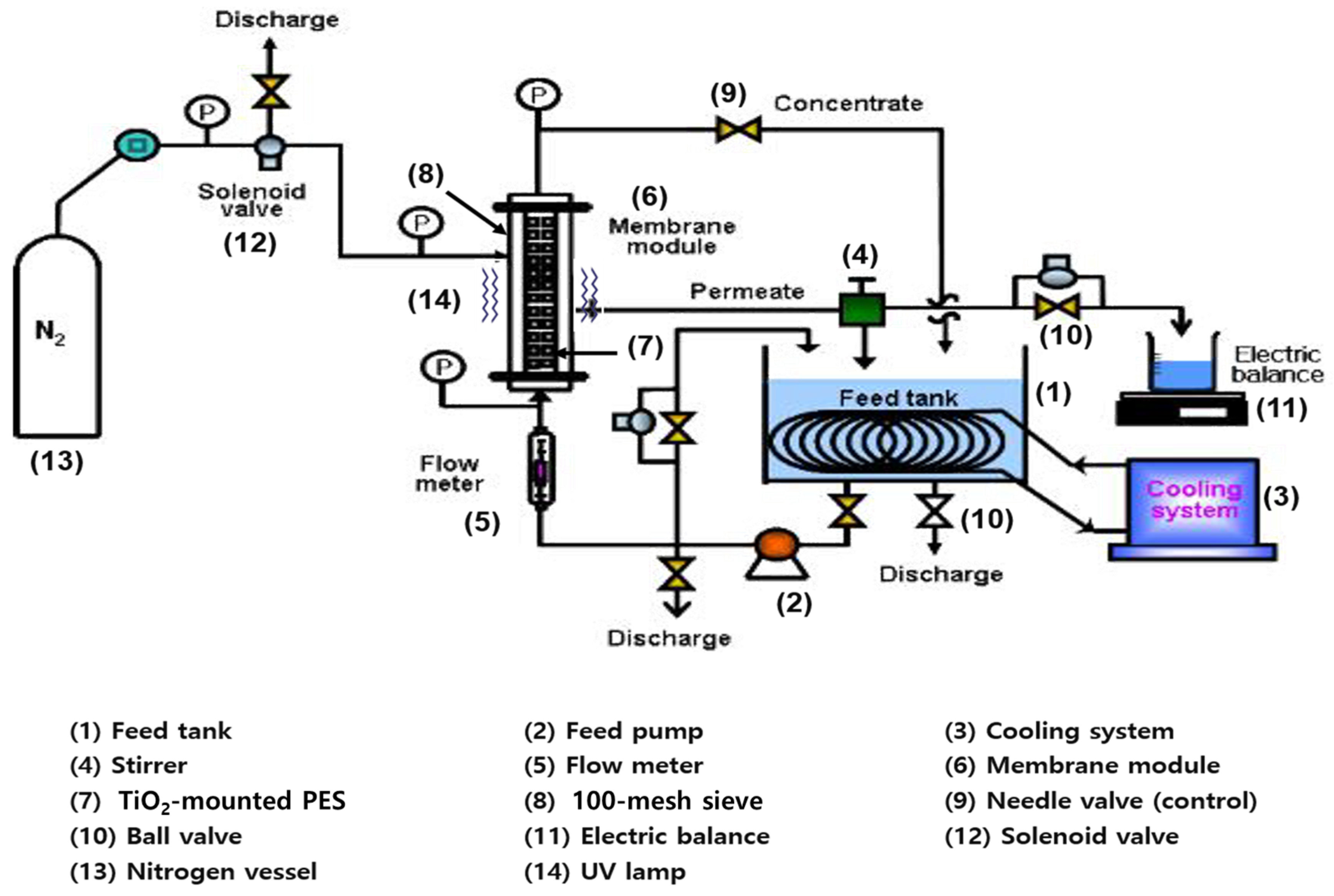 Membranes 14 00169 g001