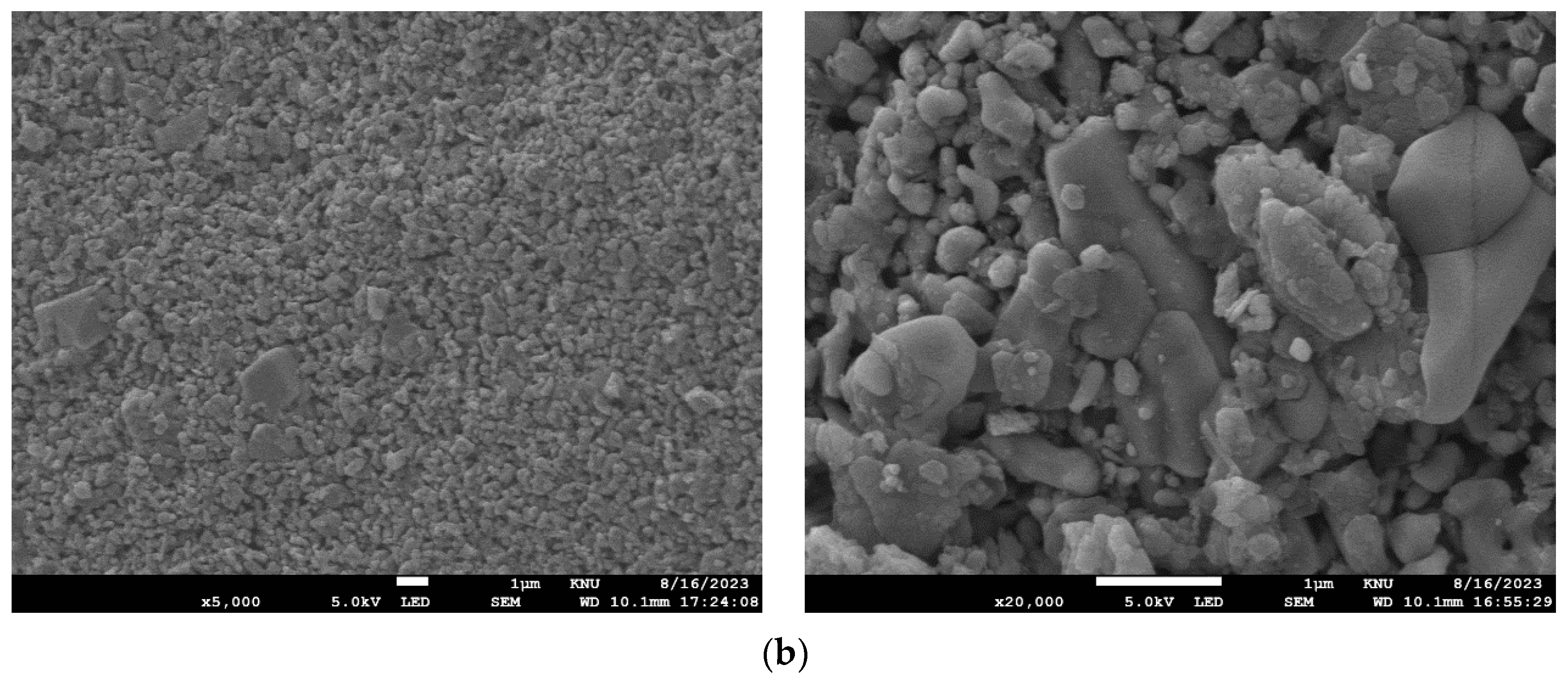 Membranes 14 00169 sch003b