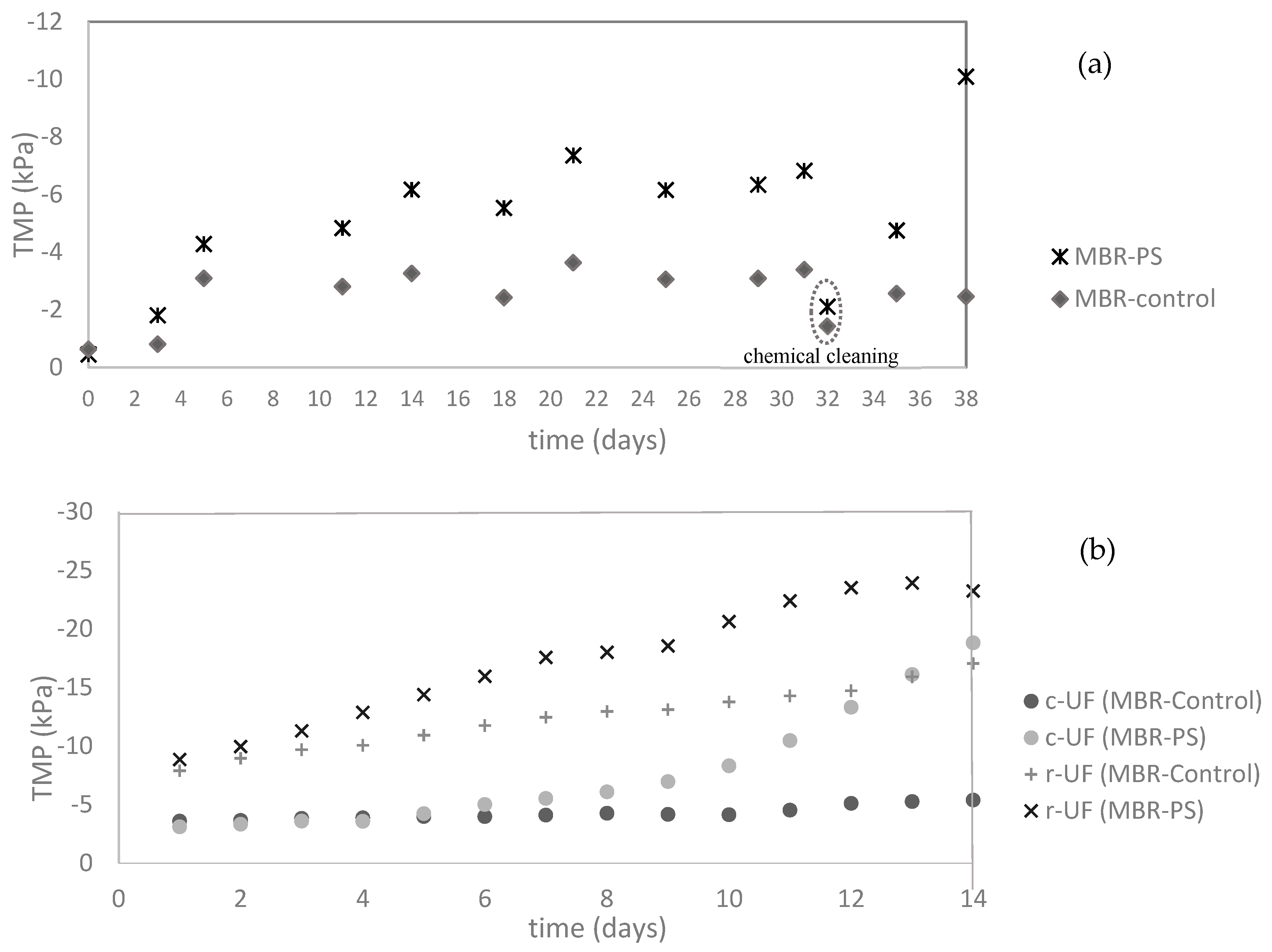 Membranes 14 00174 g004