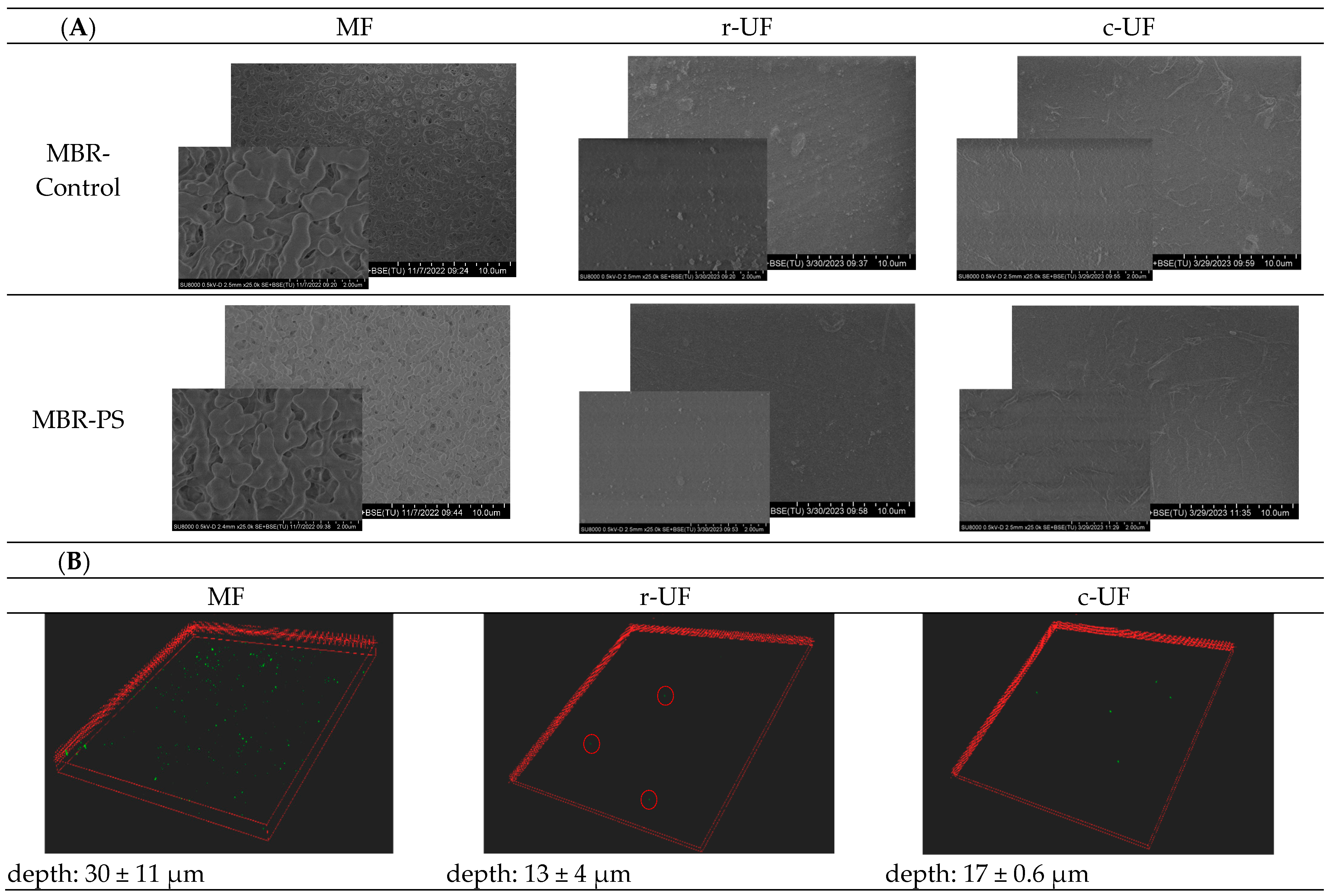 Membranes 14 00174 g006