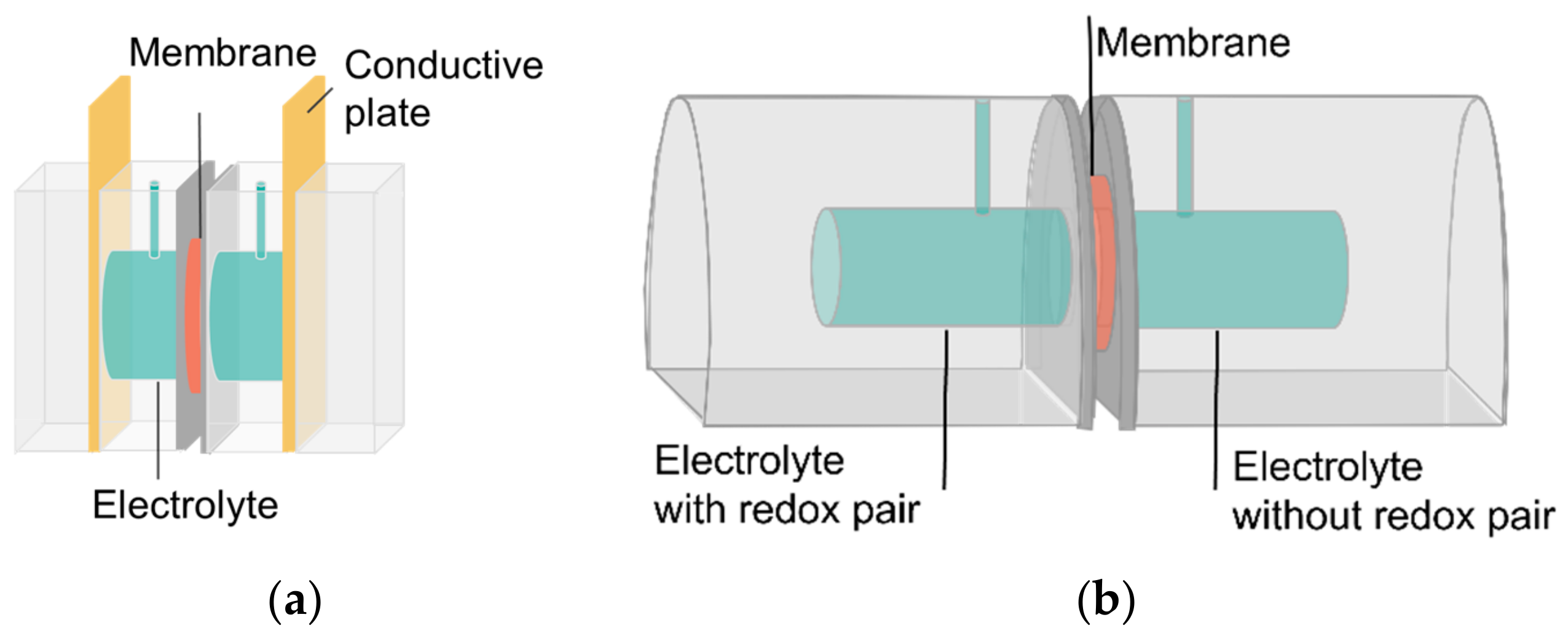Membranes 14 00177 g001