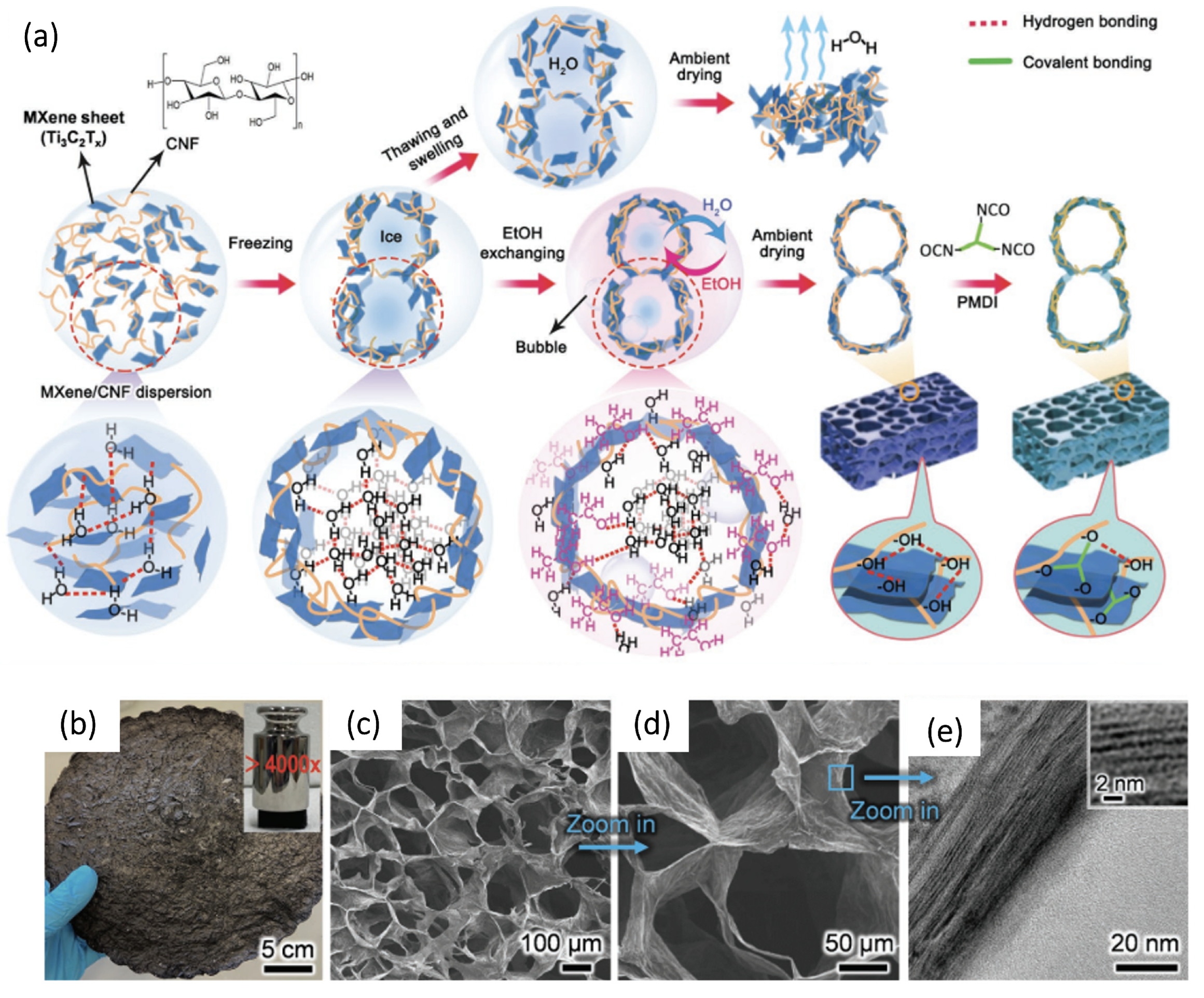 Membranes 14 00184 g009