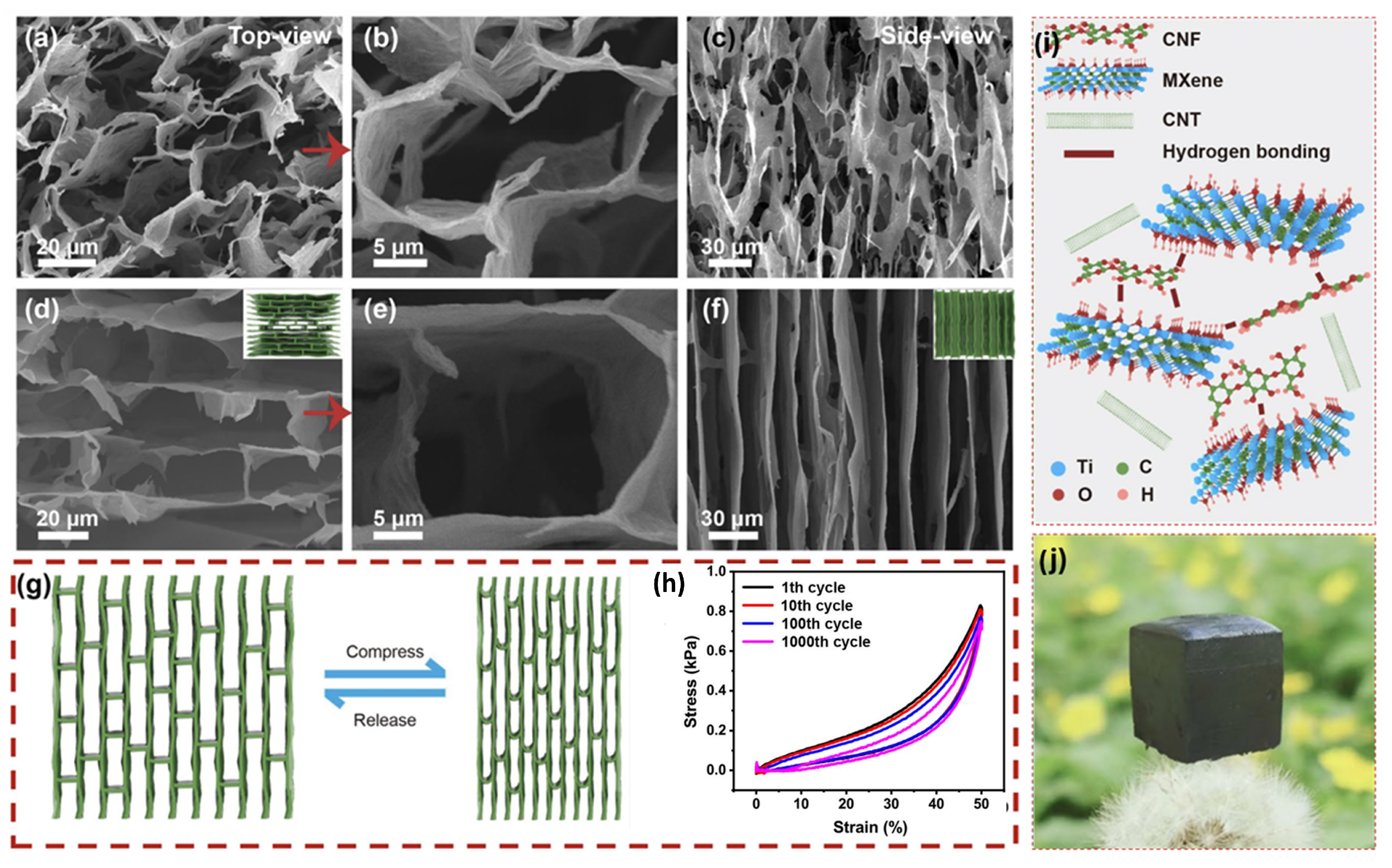Membranes 14 00184 g010