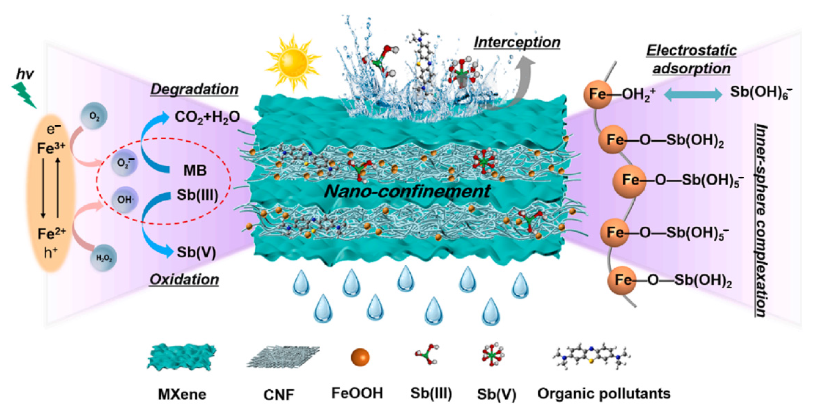 Membranes 14 00184 g011