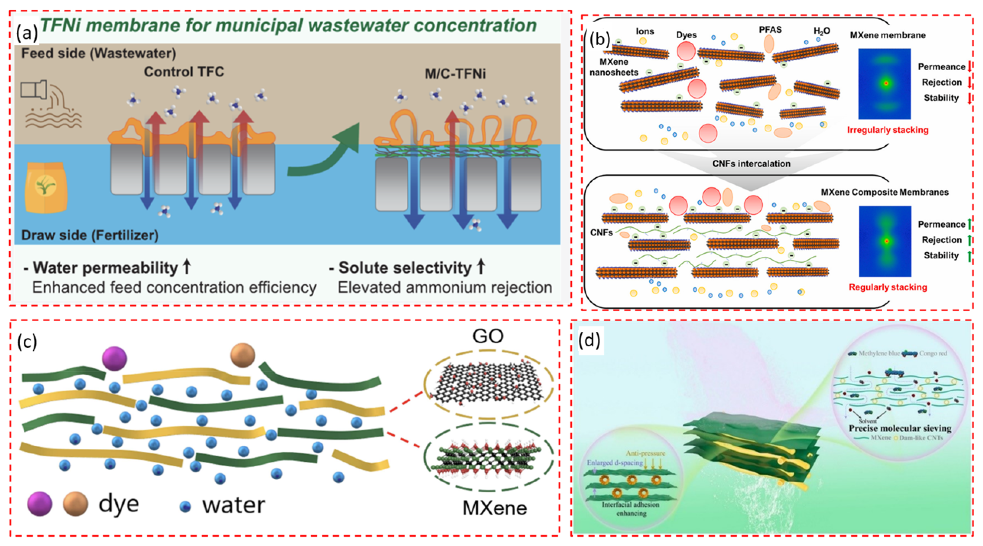 Membranes 14 00184 g012