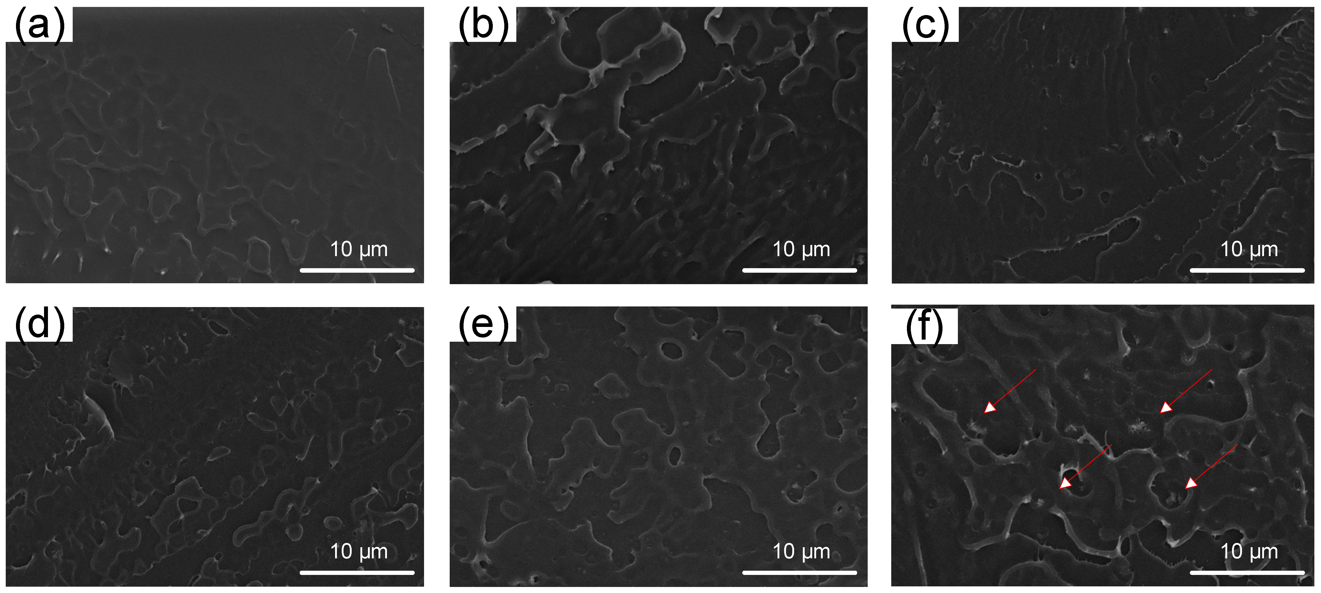 Membranes 14 00195 g004