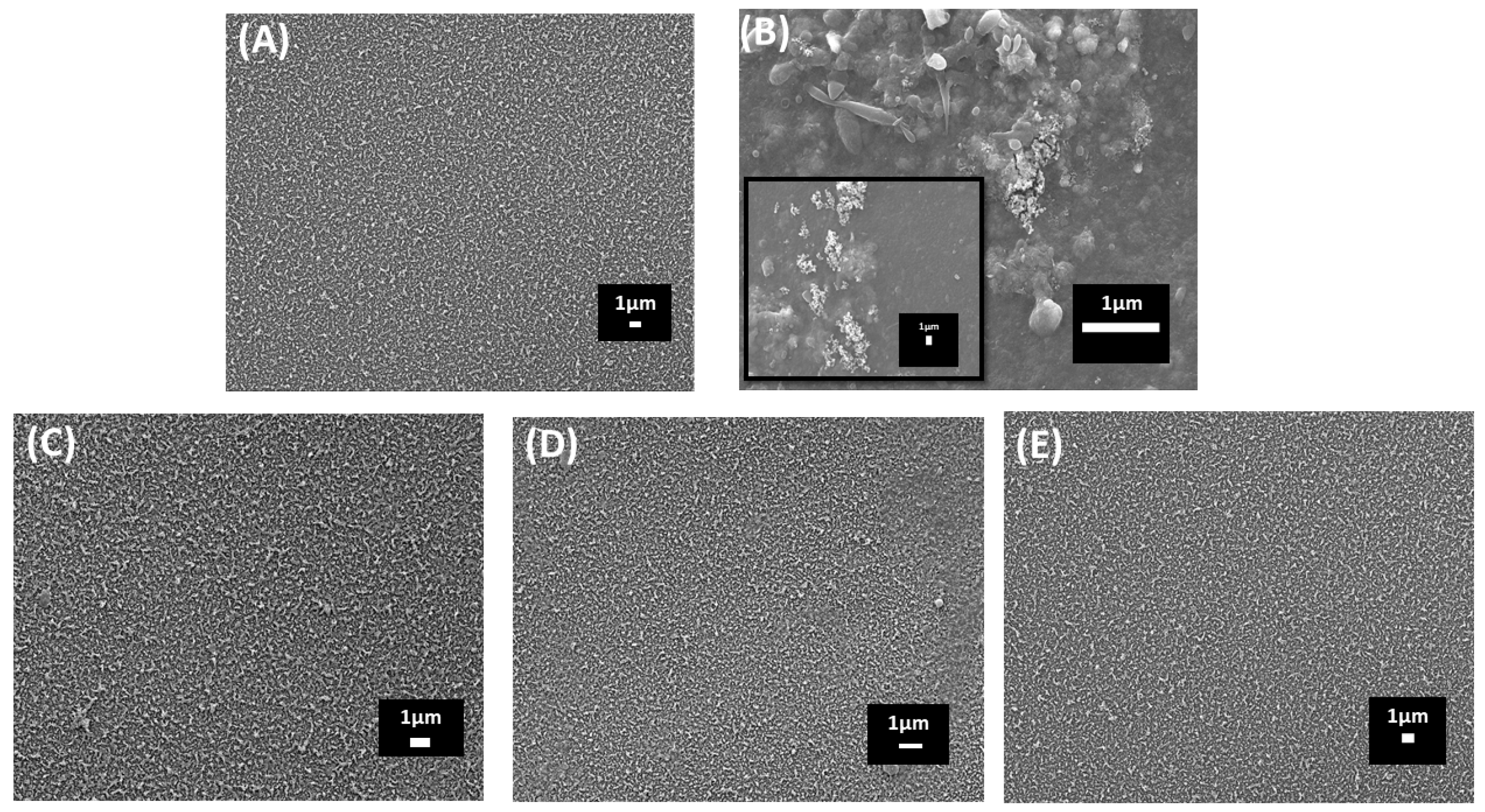 Membranes 14 00204 g001