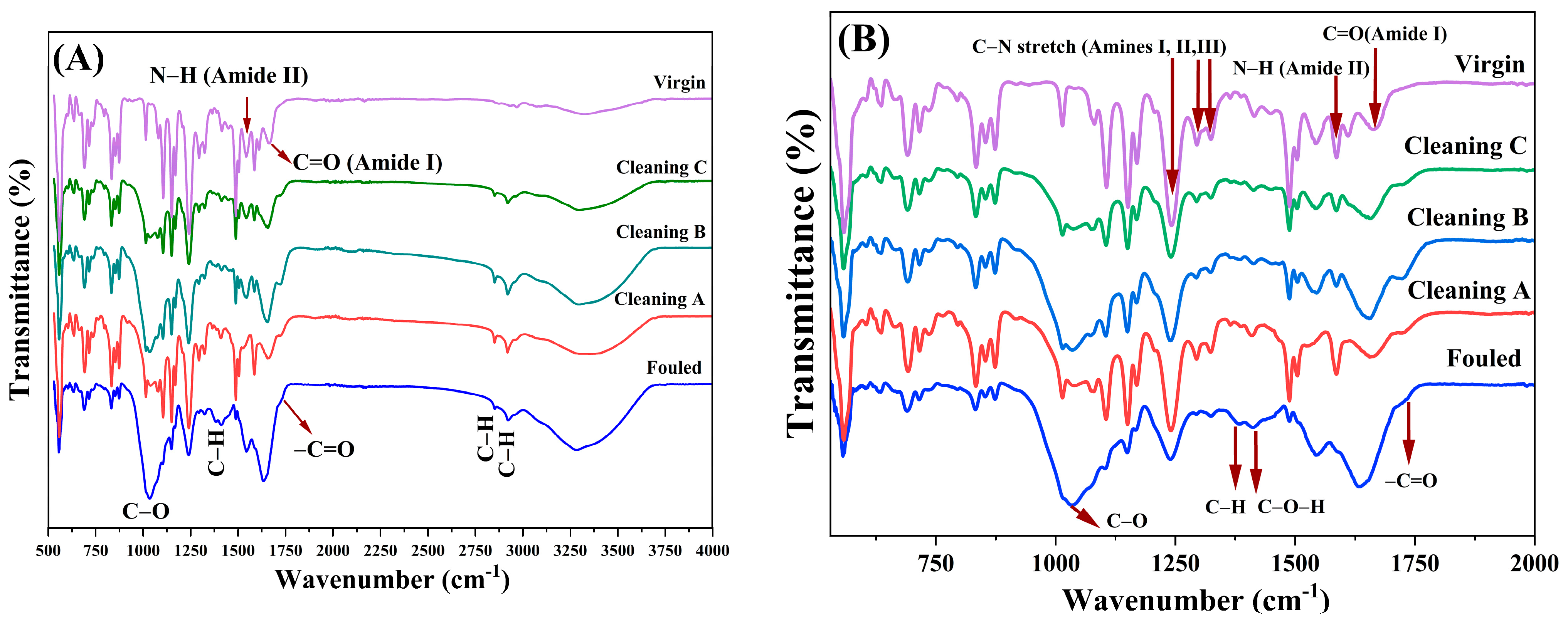 Membranes 14 00204 g003