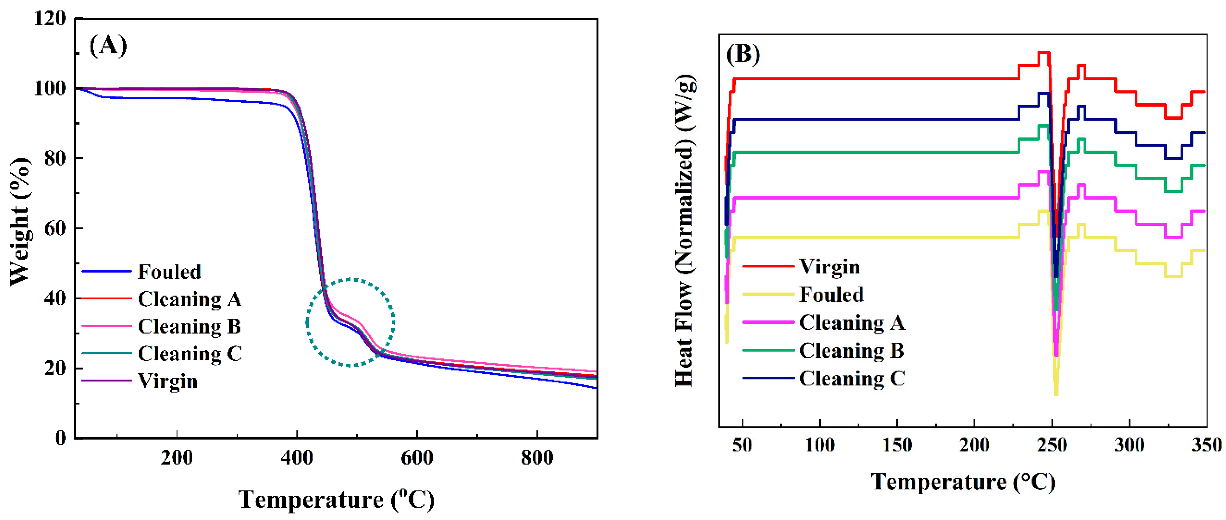 Membranes 14 00204 g004