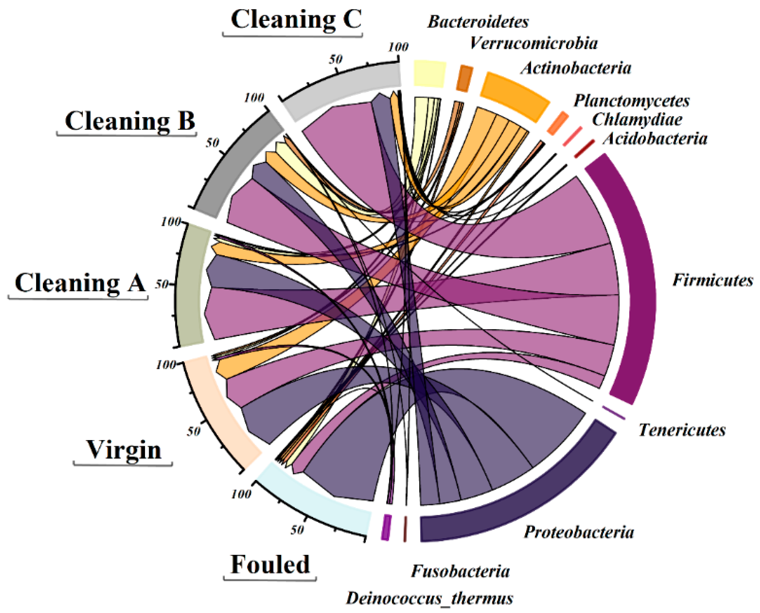 Membranes 14 00204 g007