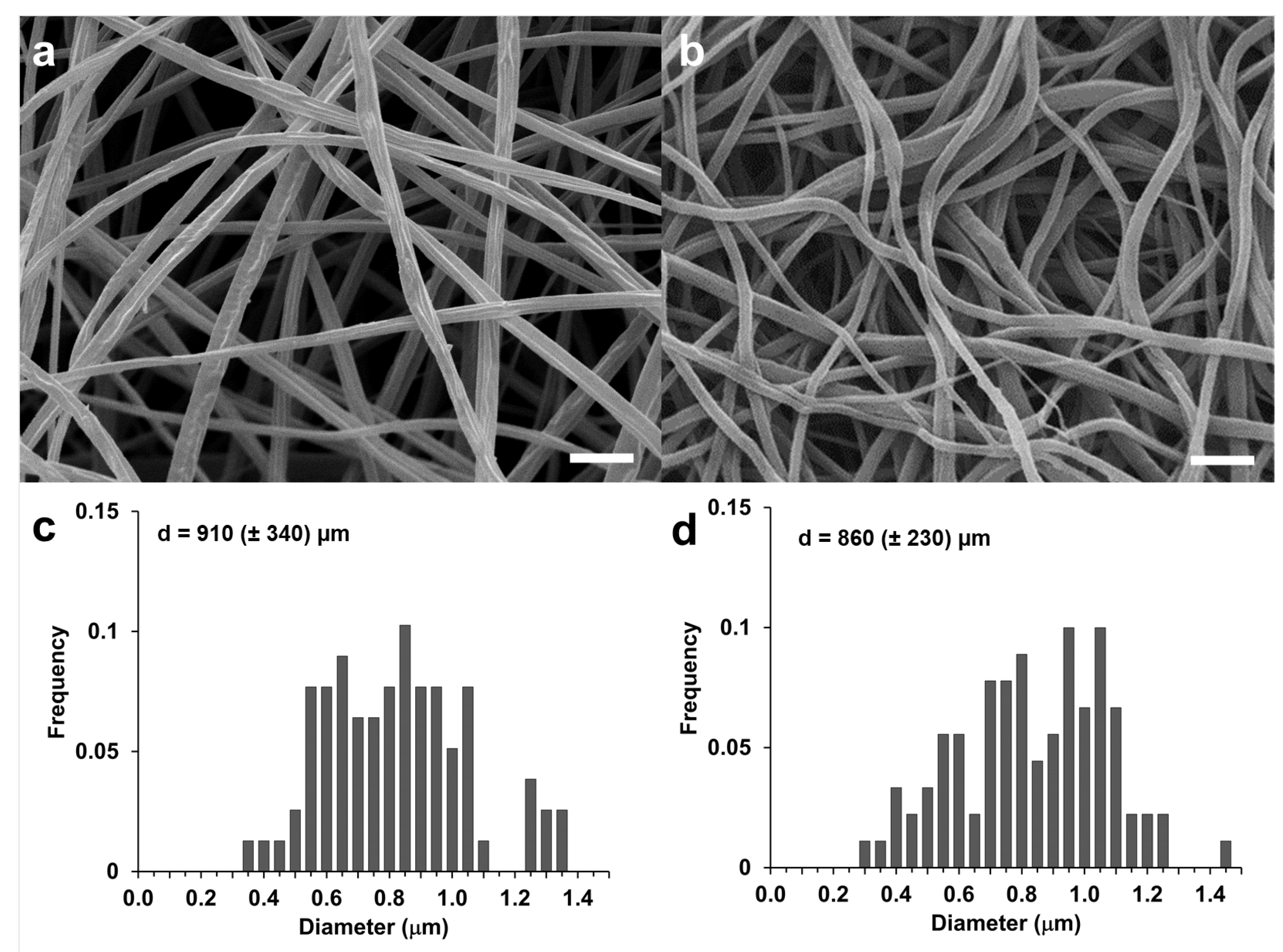 Membranes 14 00206 g002