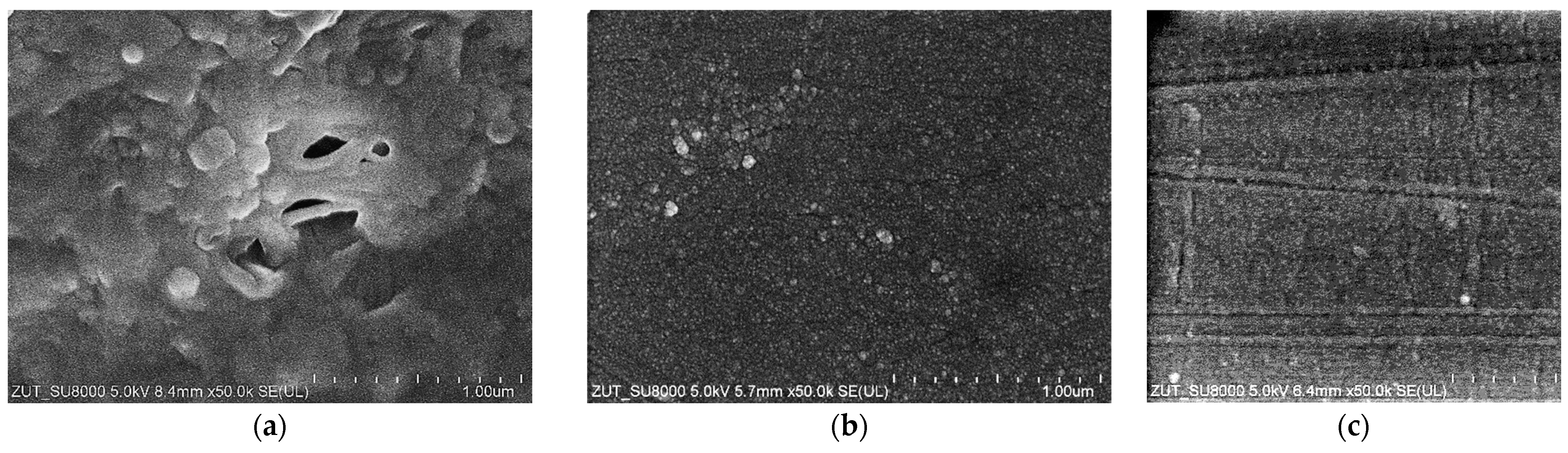 Membranes 14 00210 g003