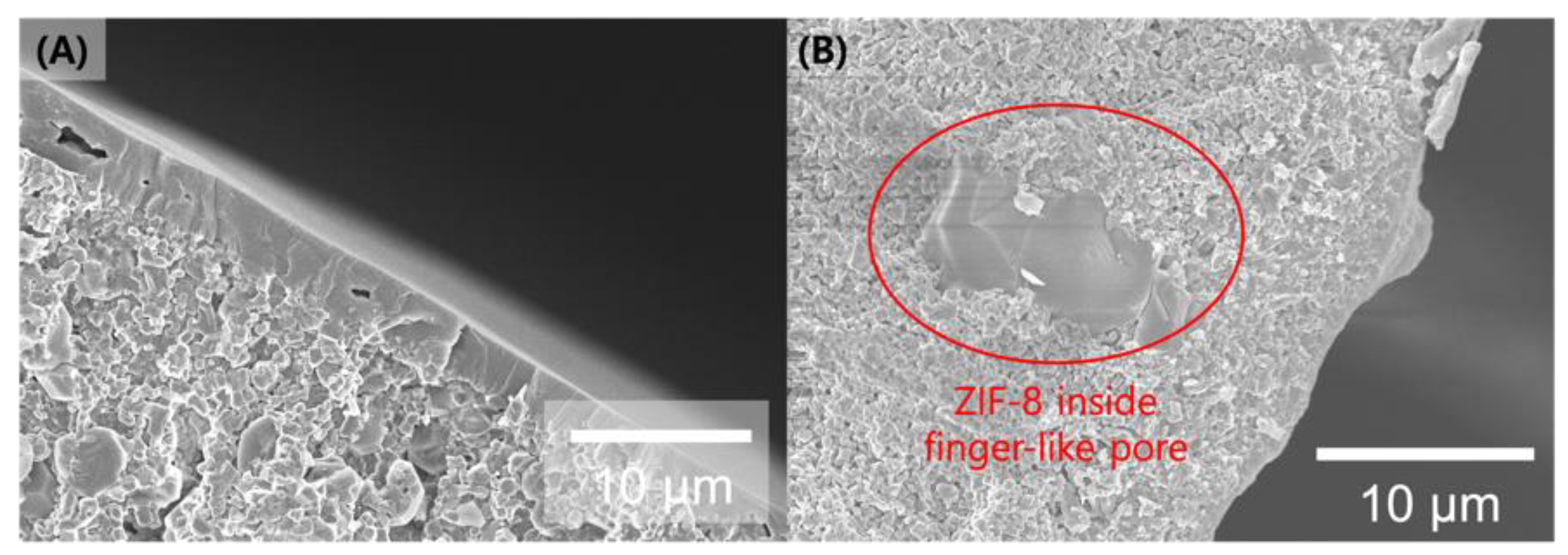 Membranes 14 00216 g001