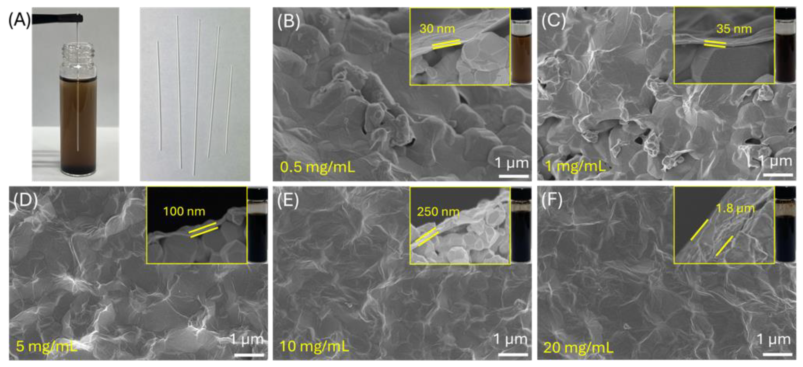 Membranes 14 00216 g002