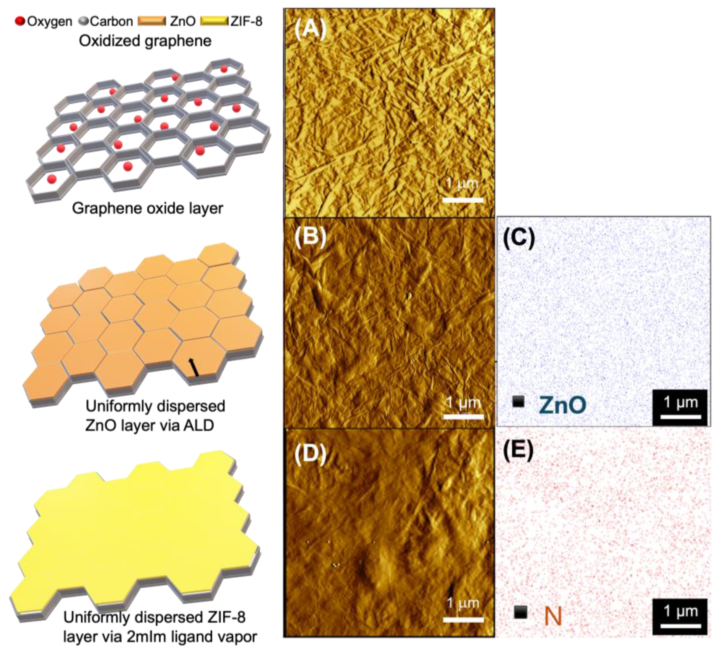 Membranes 14 00216 g004