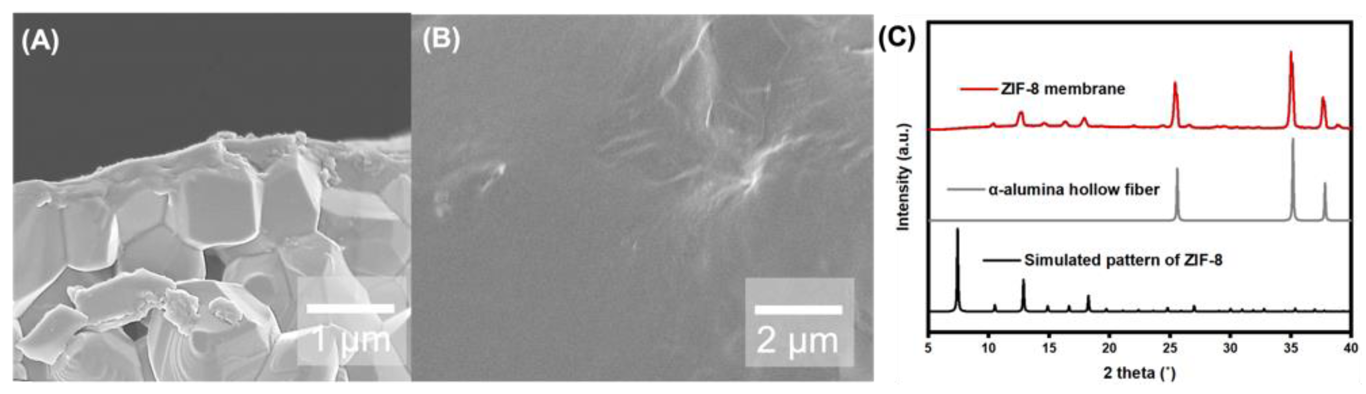 Membranes 14 00216 g005
