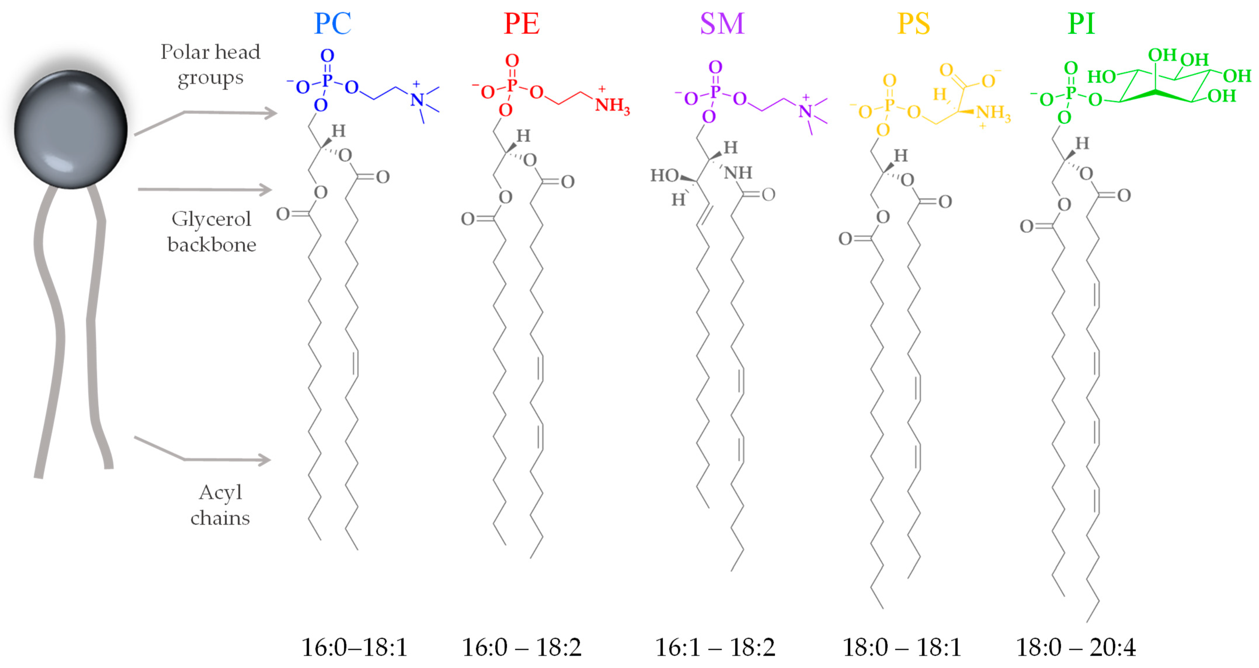Membranes 14 00220 g003