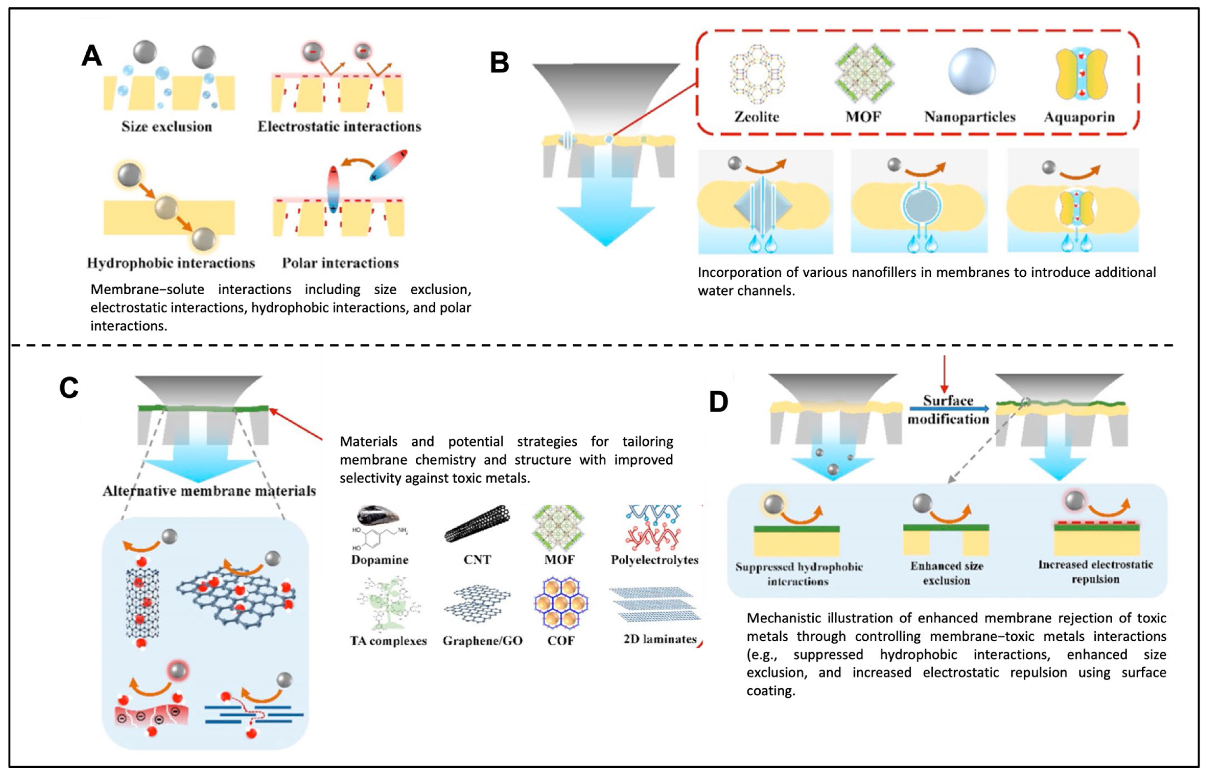 Membranes 14 00224 g006