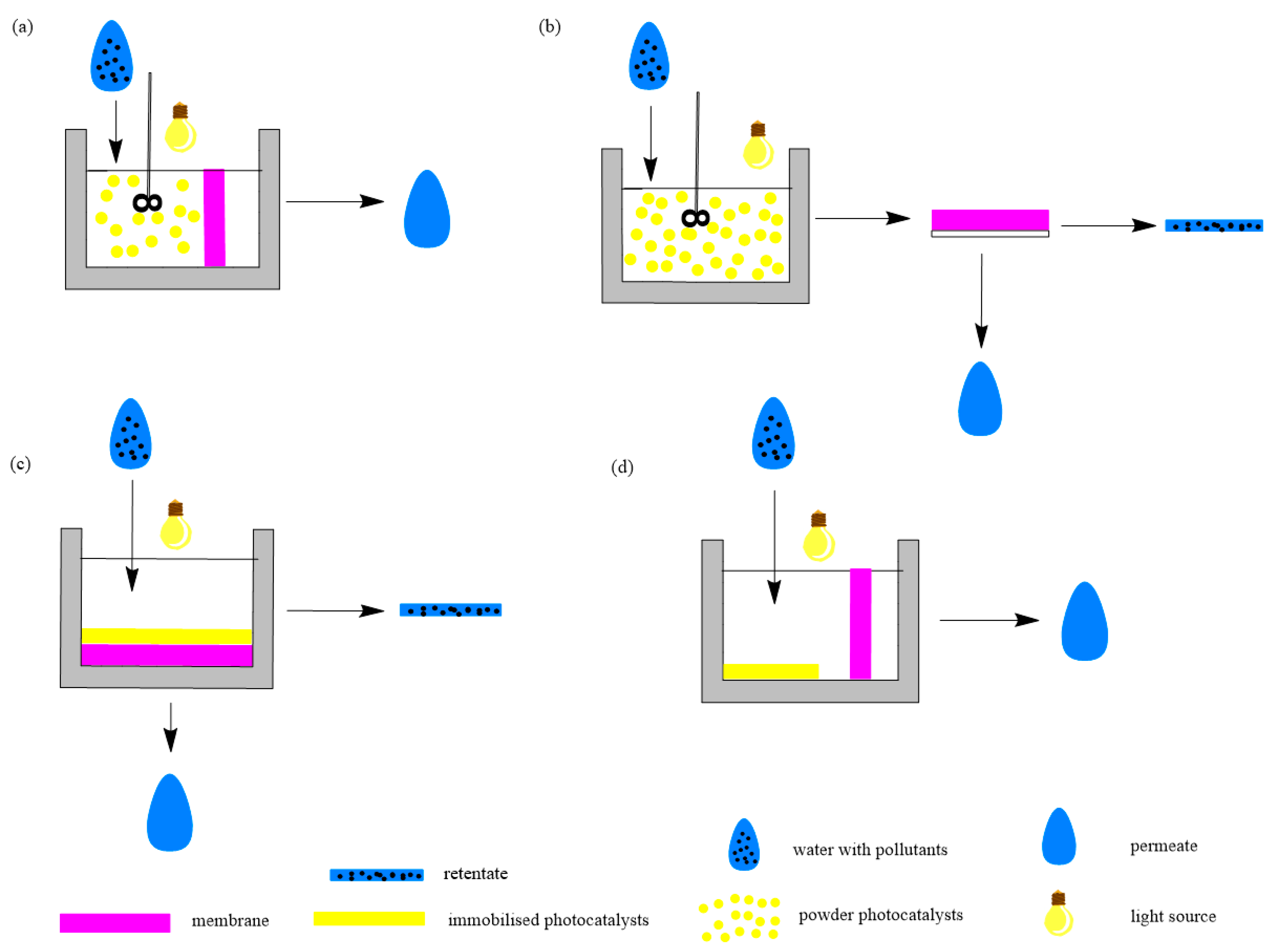 Membranes 14 00239 g005