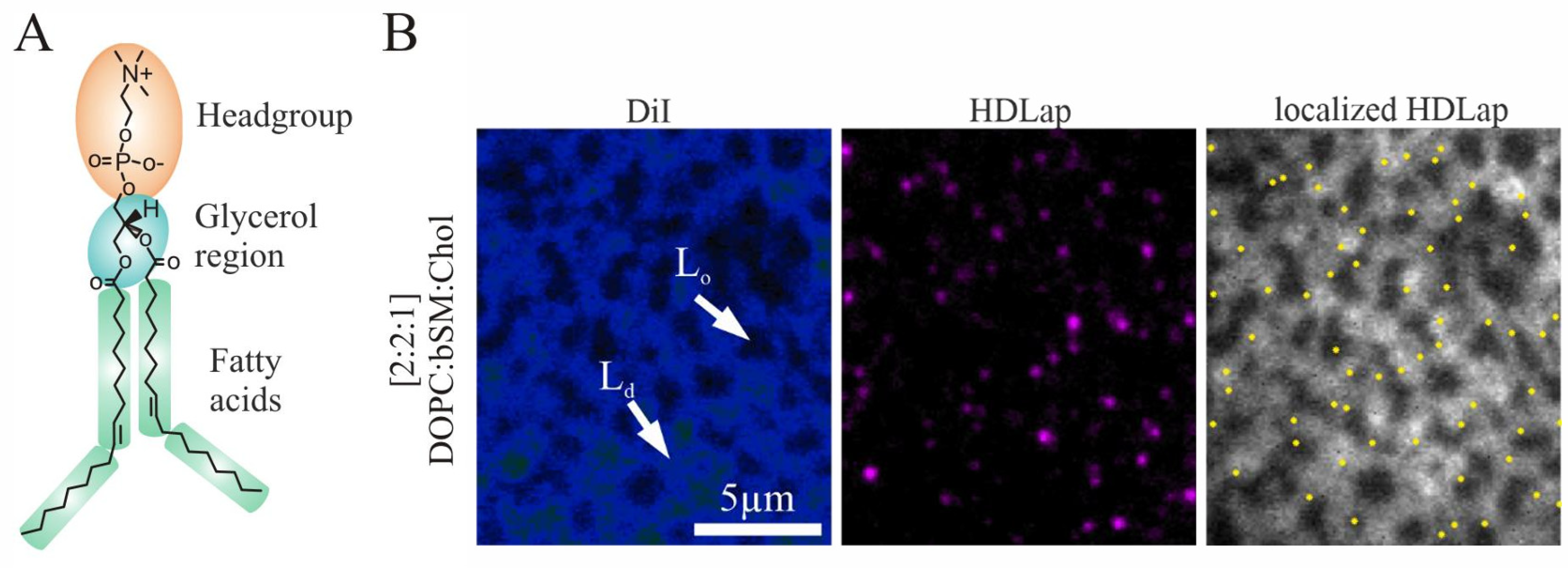 Membranes 14 00261 g001 Membranes 14 00261 g001