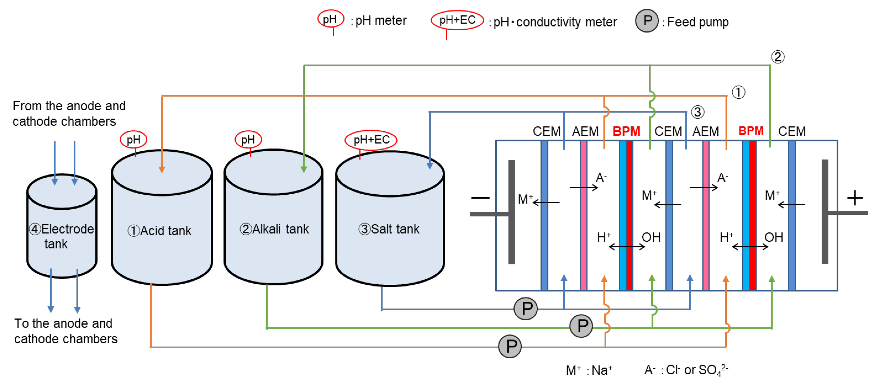 Membranes 14 00262 g004