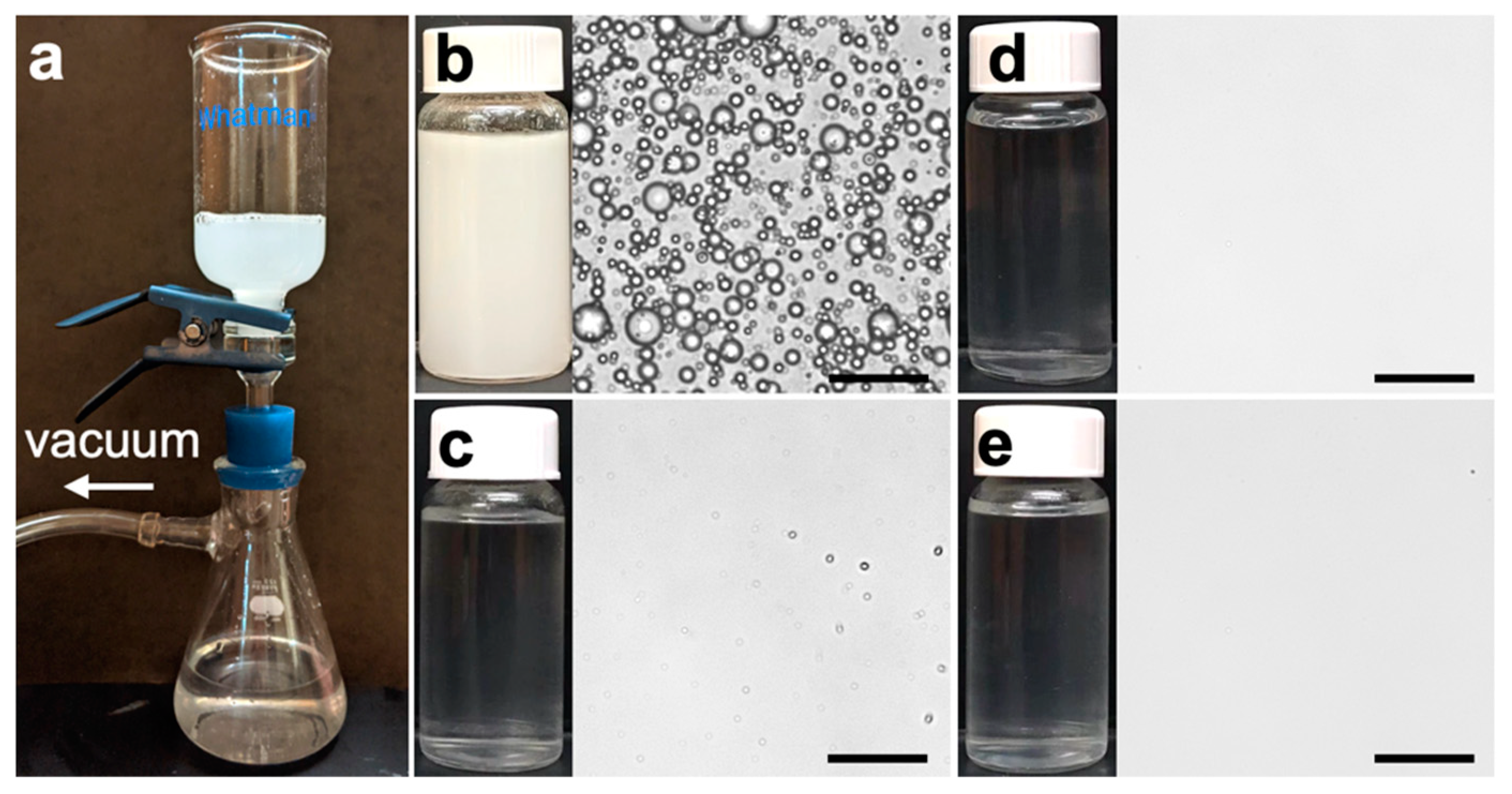 Membranes 15 00041 g005