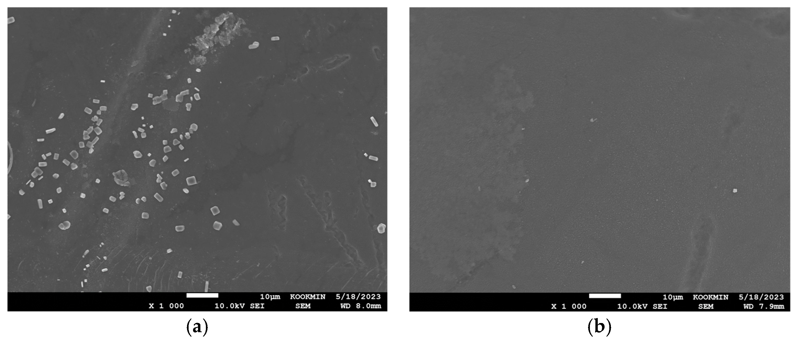 Membranes 15 00056 g014