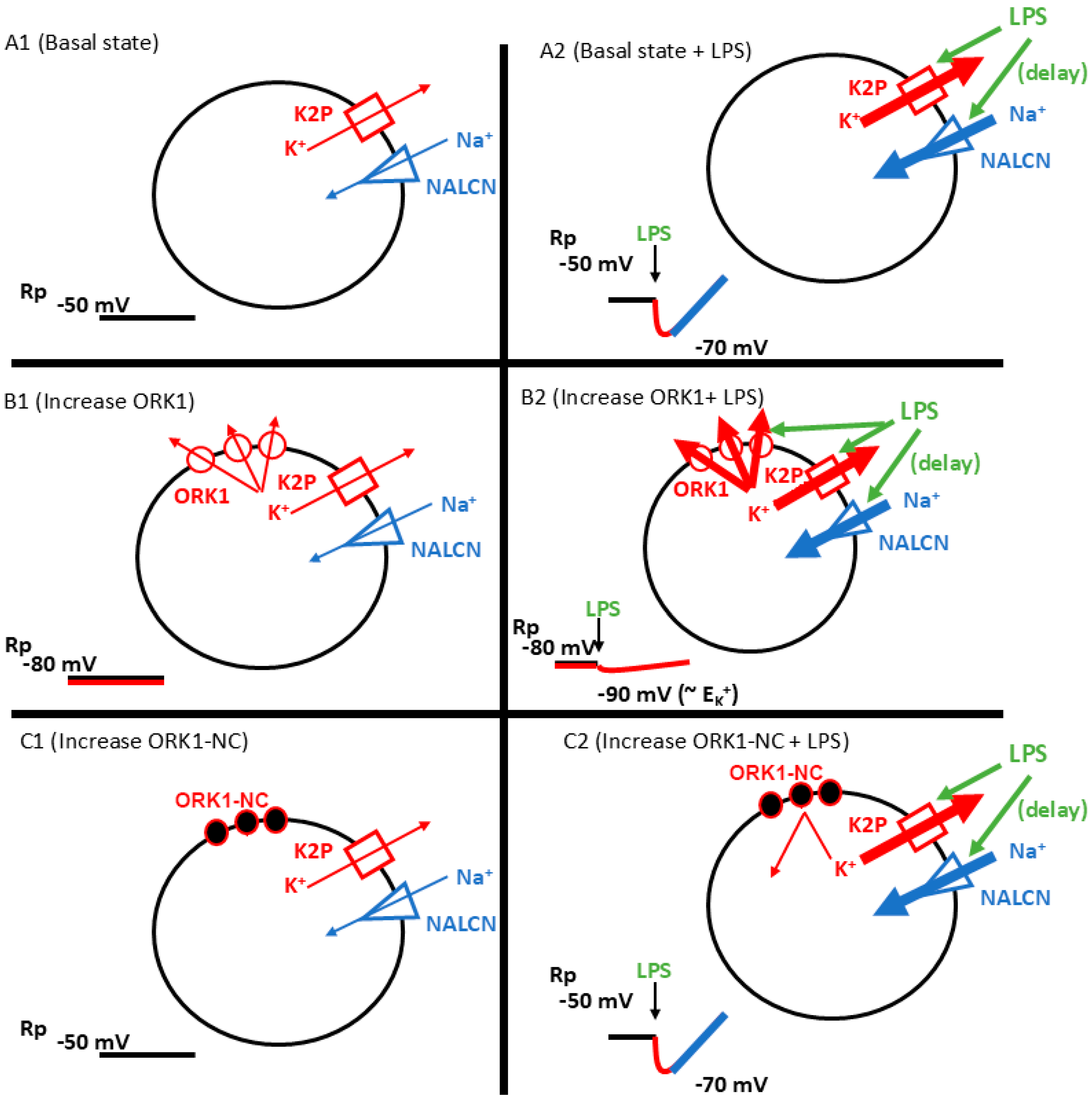 Membranes 15 00074 g008