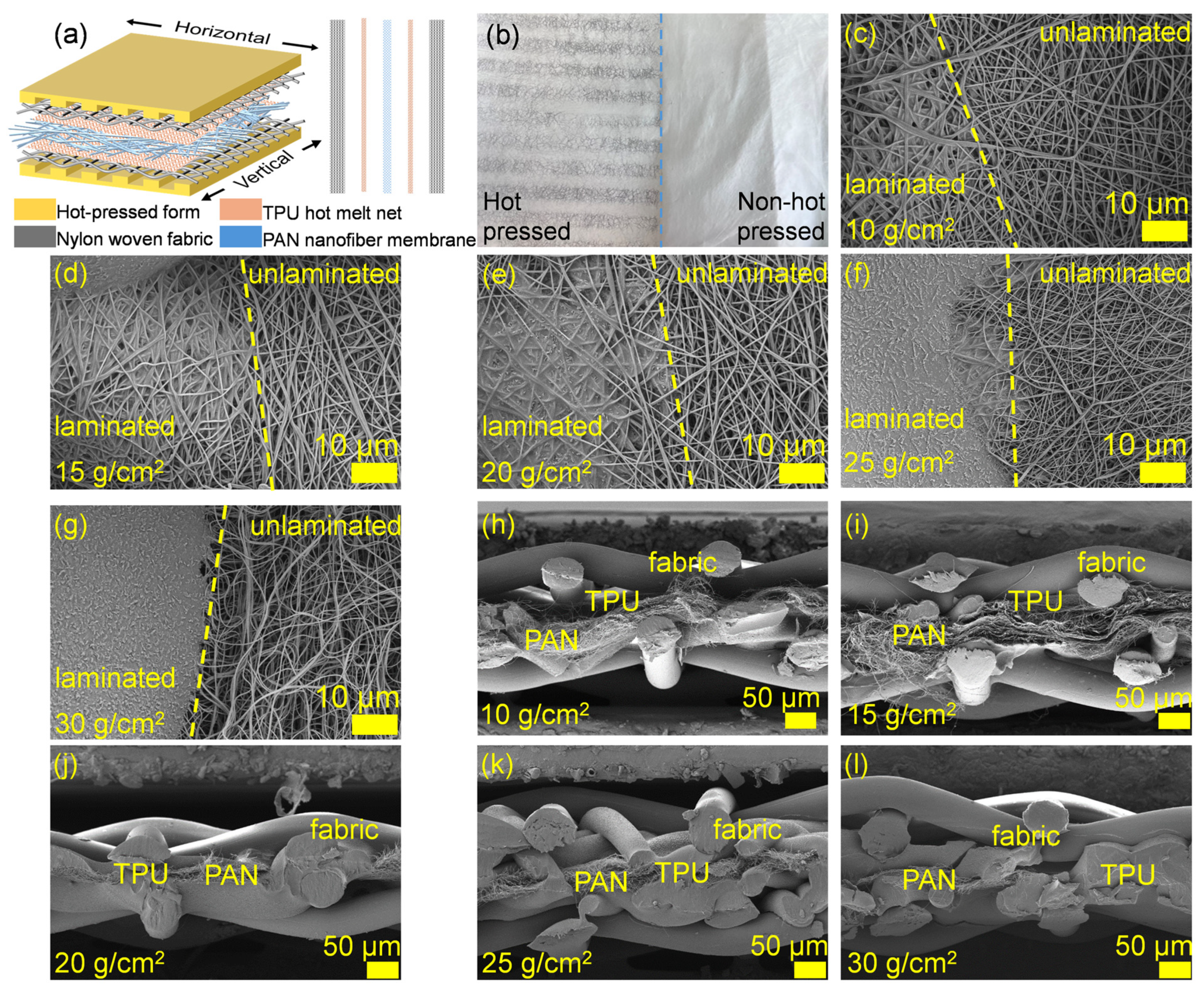 Membranes 15 00095 g002