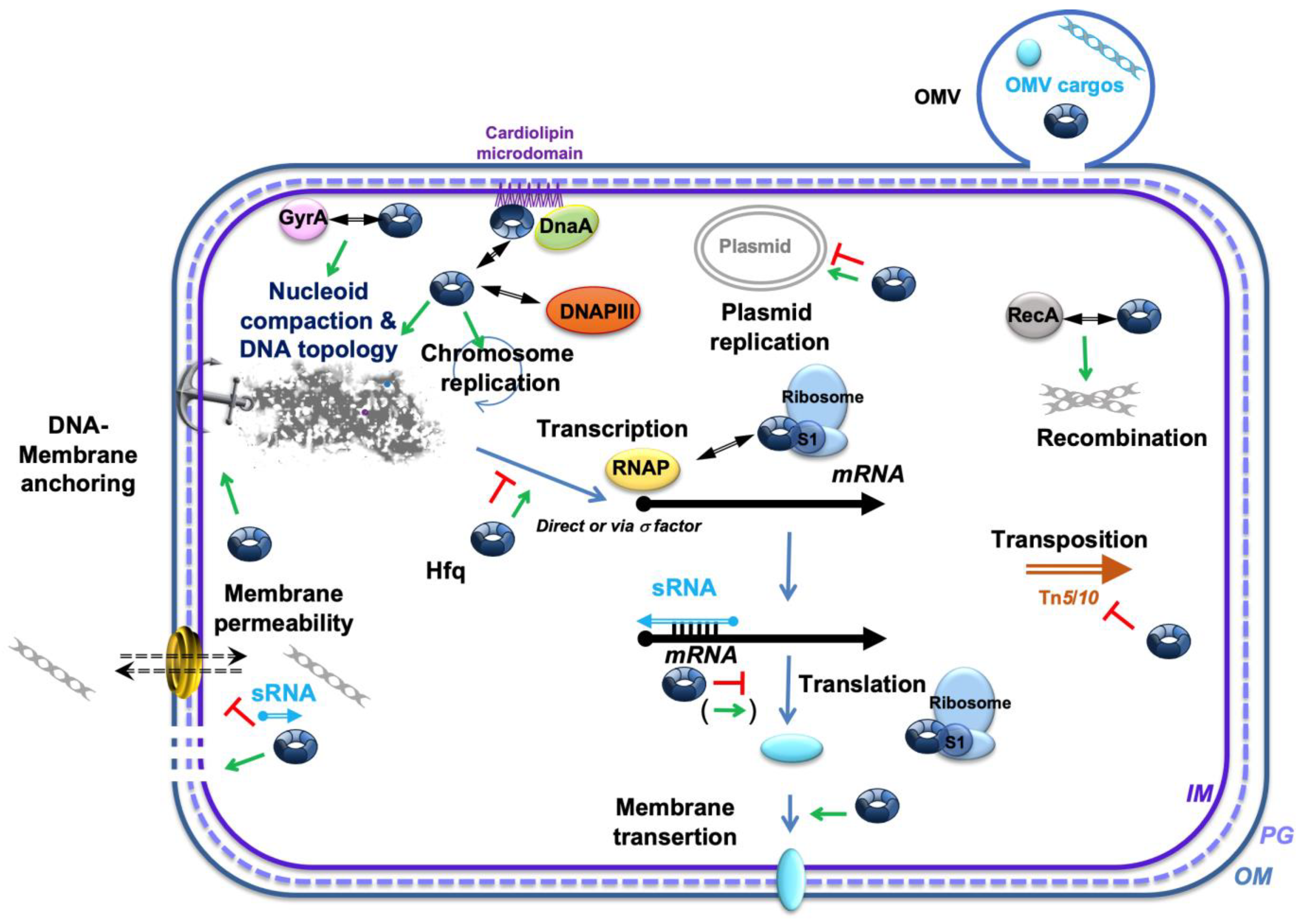 Membranes 15 00103 g003