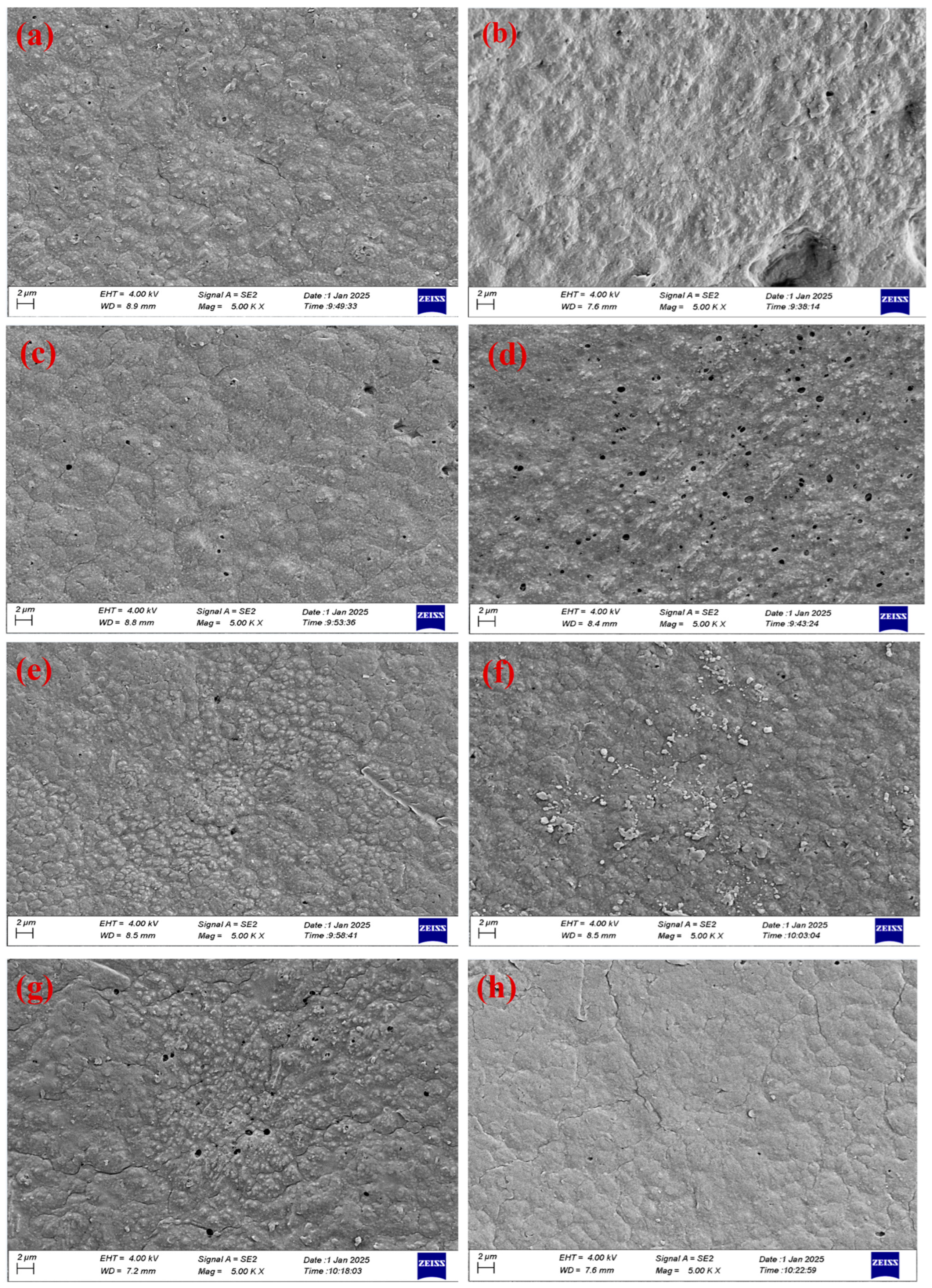 Membranes 15 00104 g004