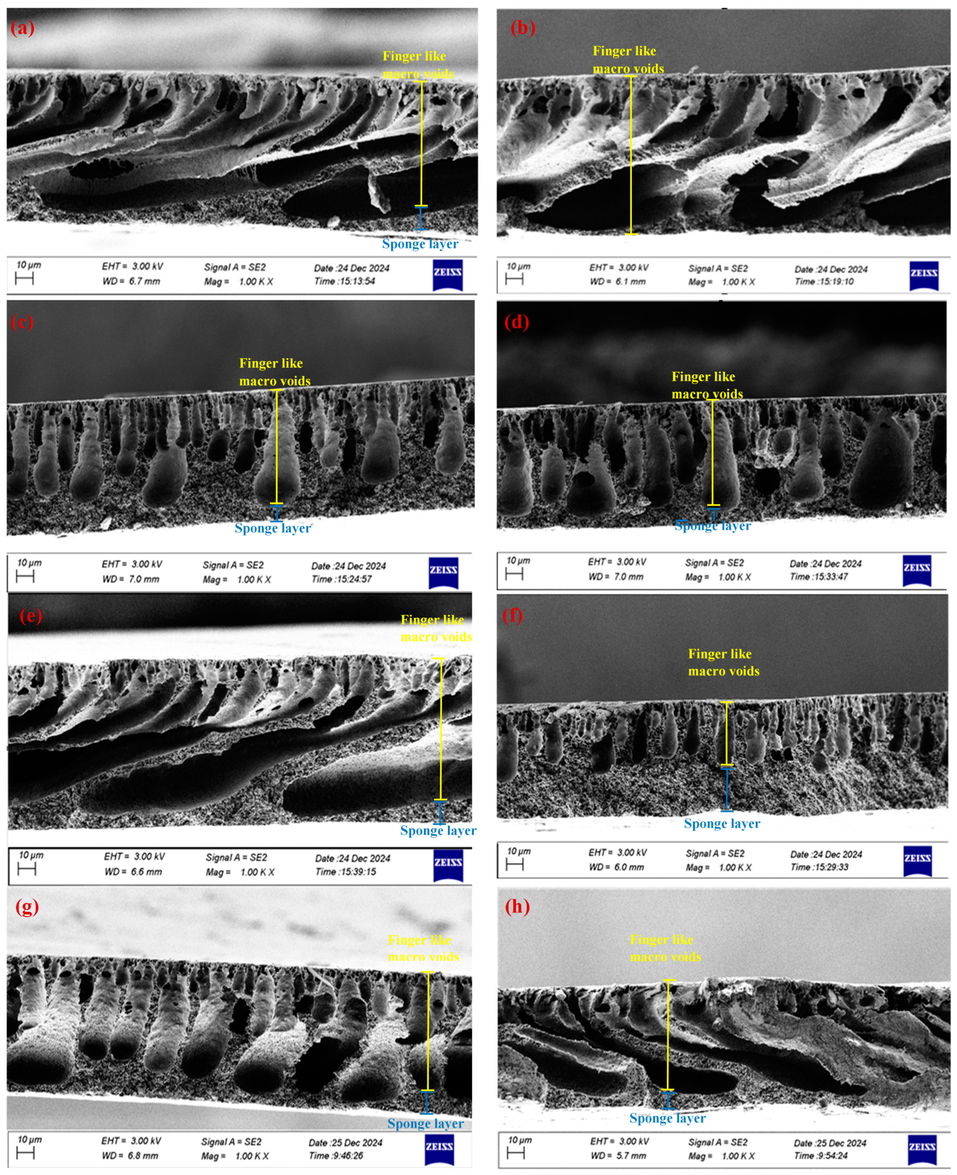 Membranes 15 00104 g005