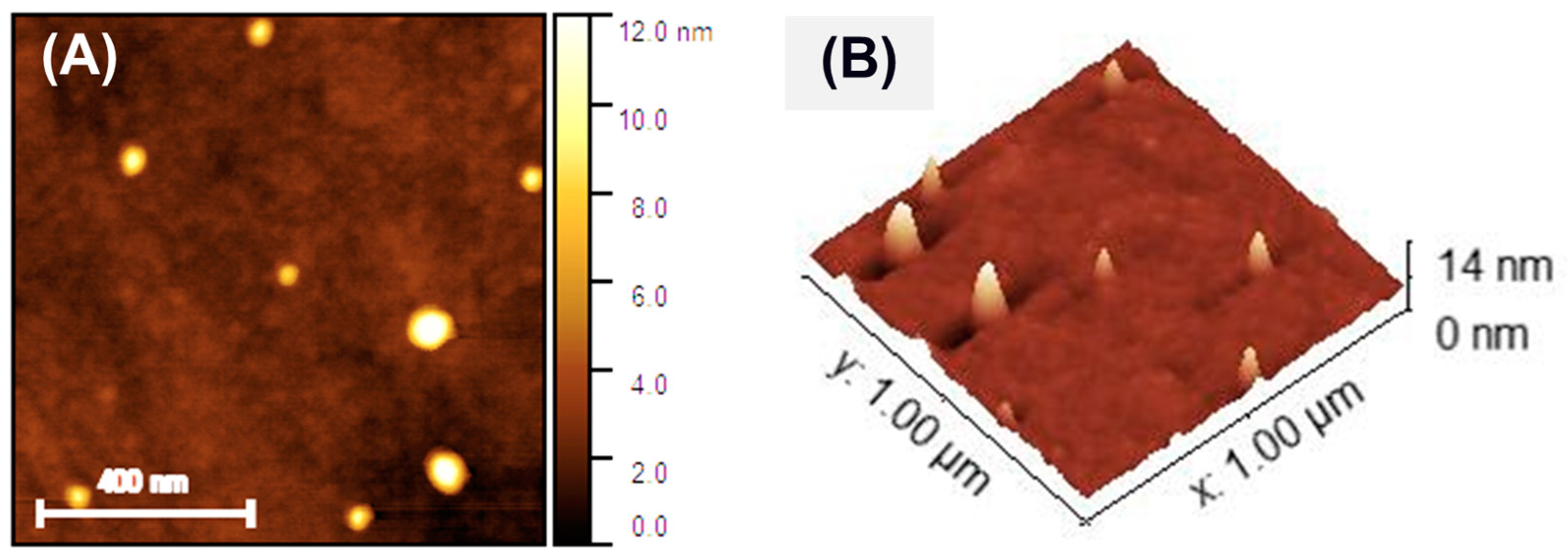 Membranes 15 00115 g005