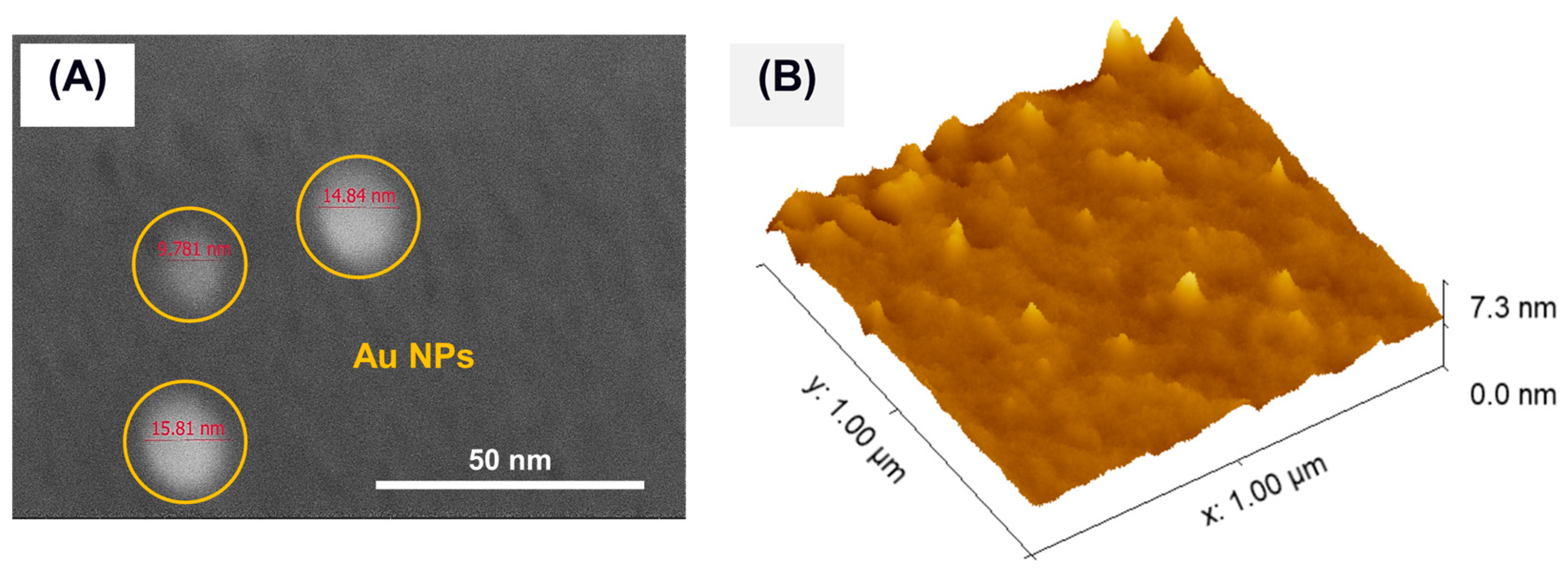 Membranes 15 00115 g008