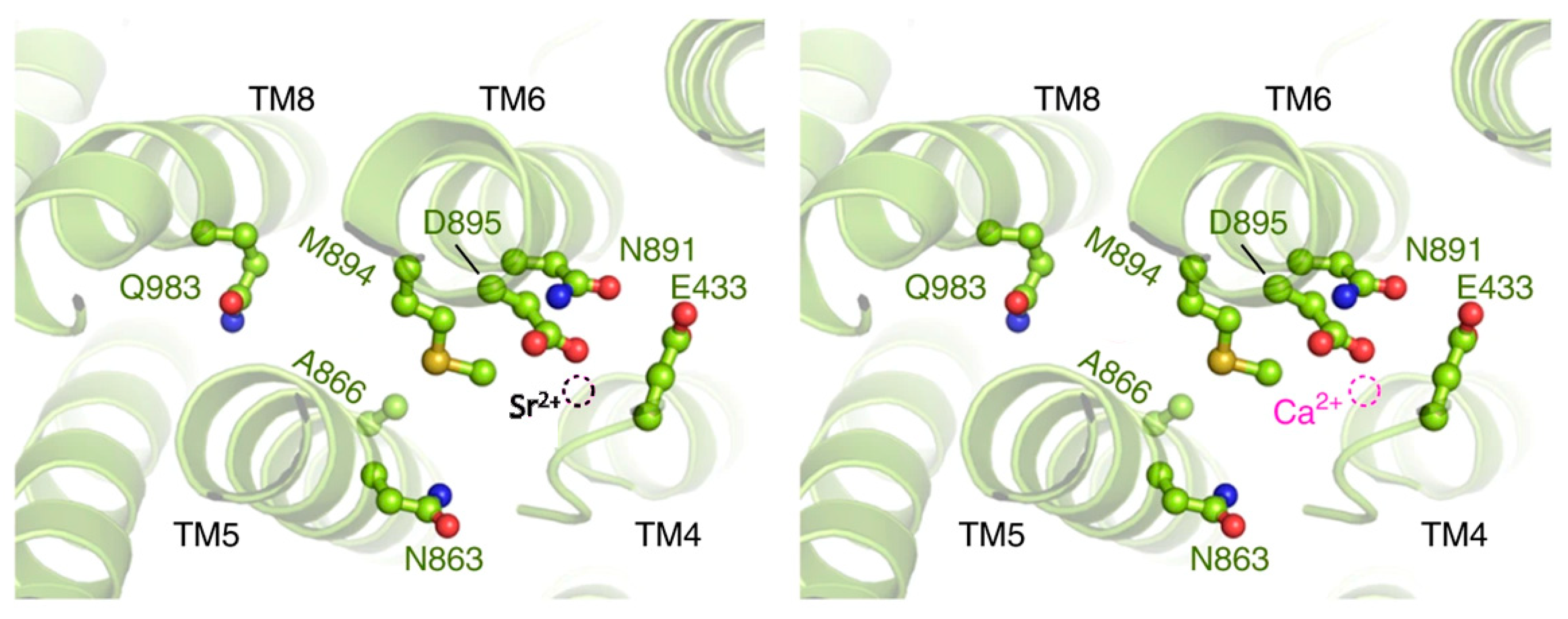 Membranes 15 00122 g010