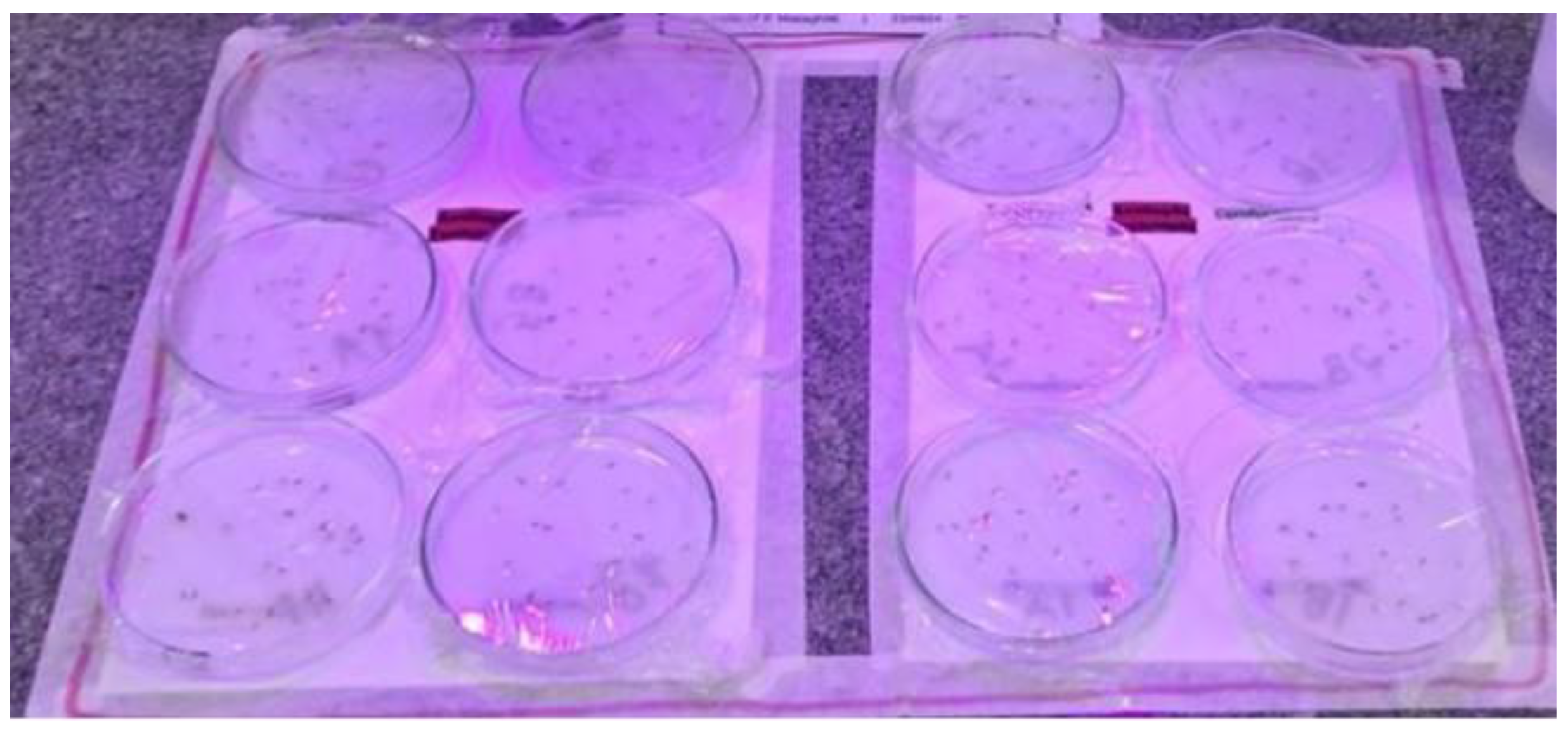 Membranes 15 00127 g005 Membranes 15 00127 g005