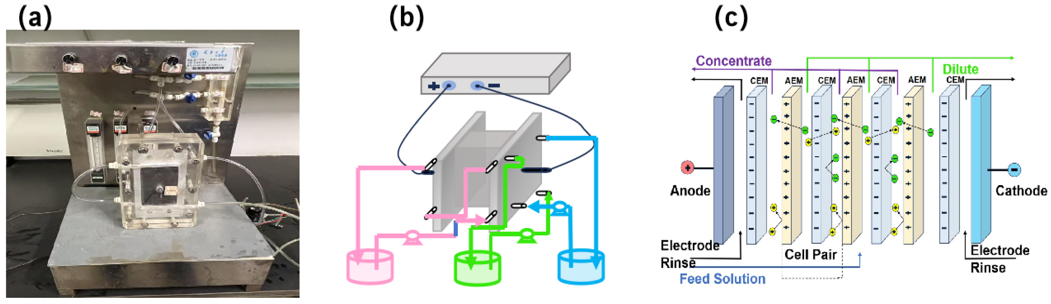 Membranes 15 00129 g002