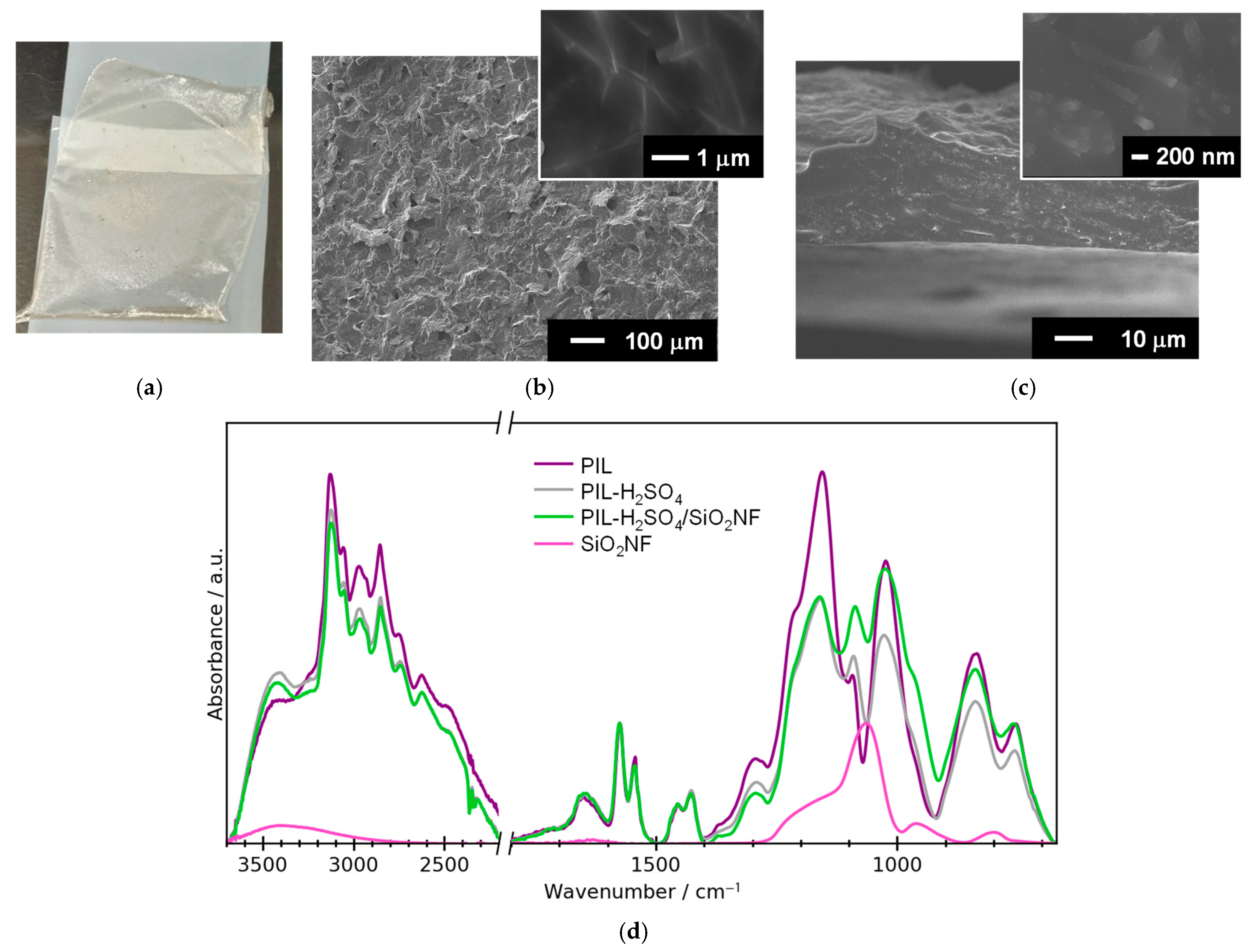 Membranes 15 00254 g003 Membranes 15 00254 g003