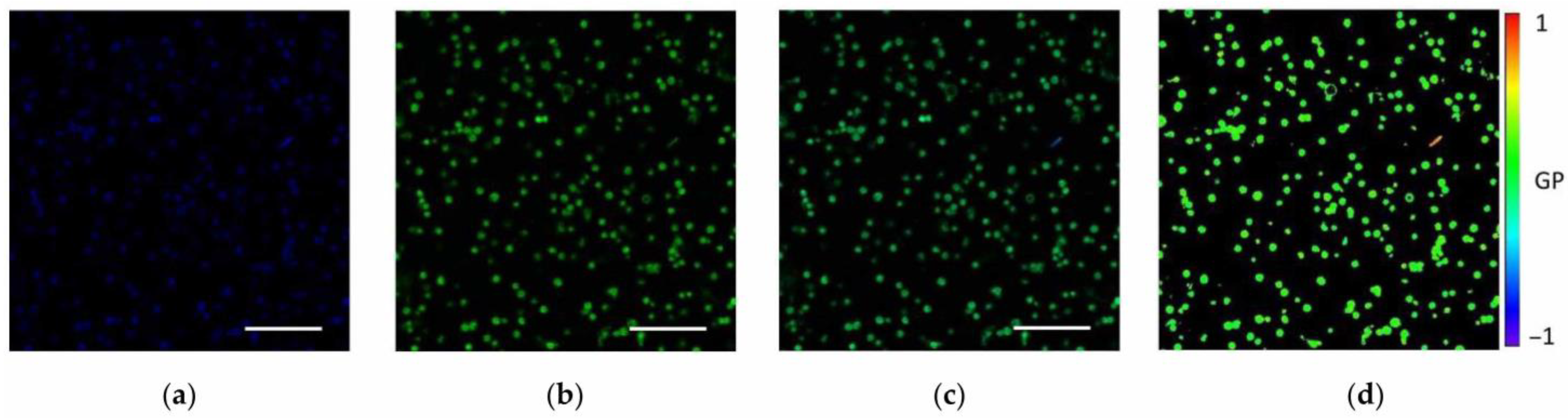 Membranes 15 00302 g001 Membranes 15 00302 g001